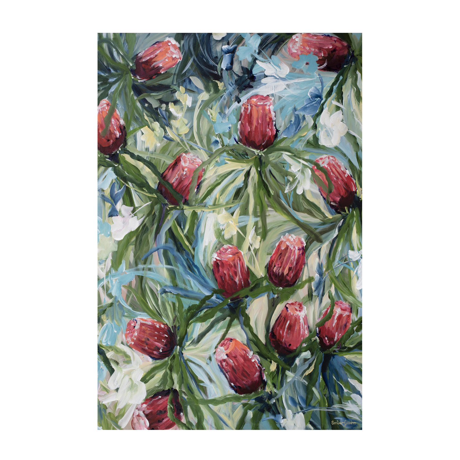 wall-art-print-canvas-poster-framed-Australian Banksia , By Amber Gittins-1