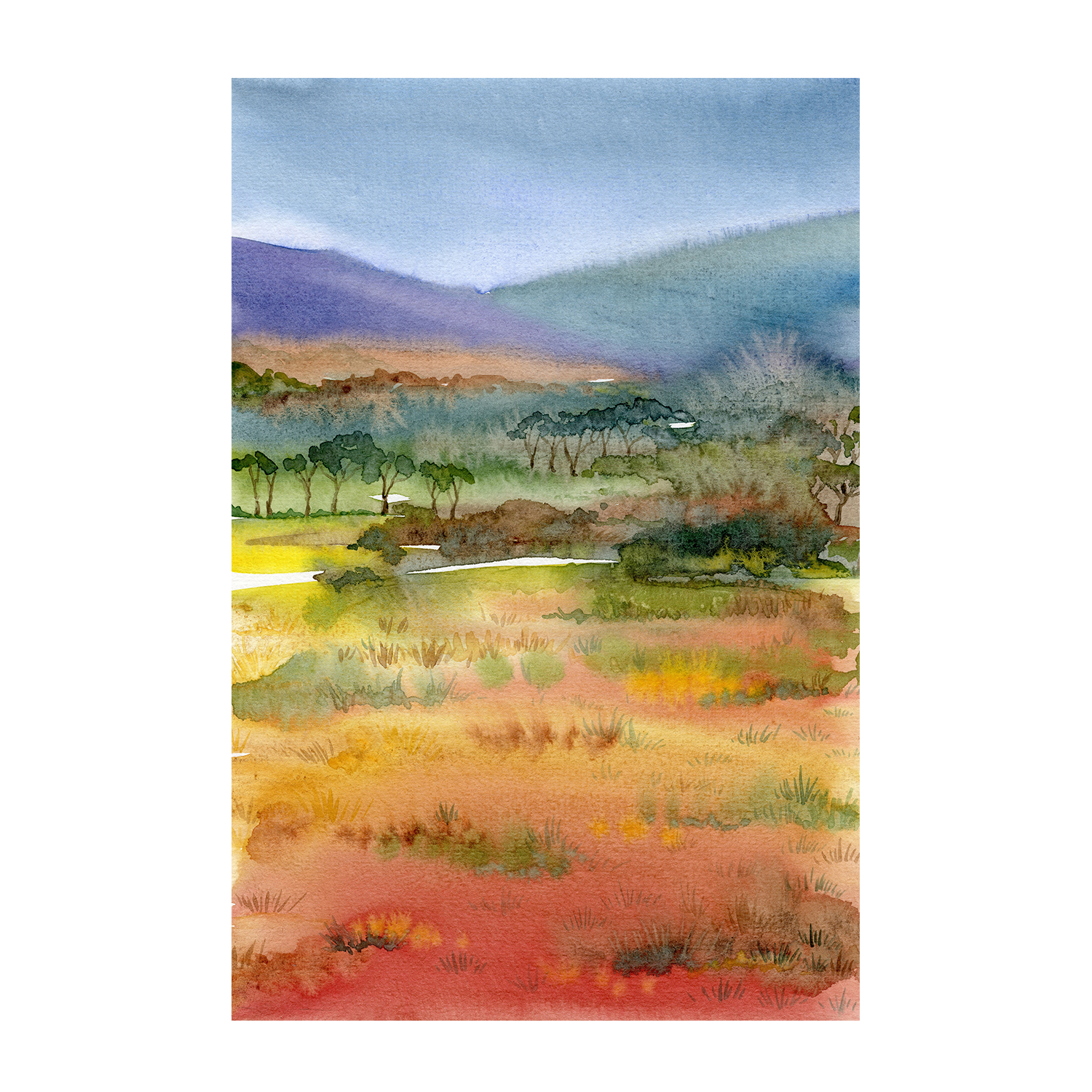 wall-art-print-canvas-poster-framed-Australian Landscape , By Jessie Mitchelson-1