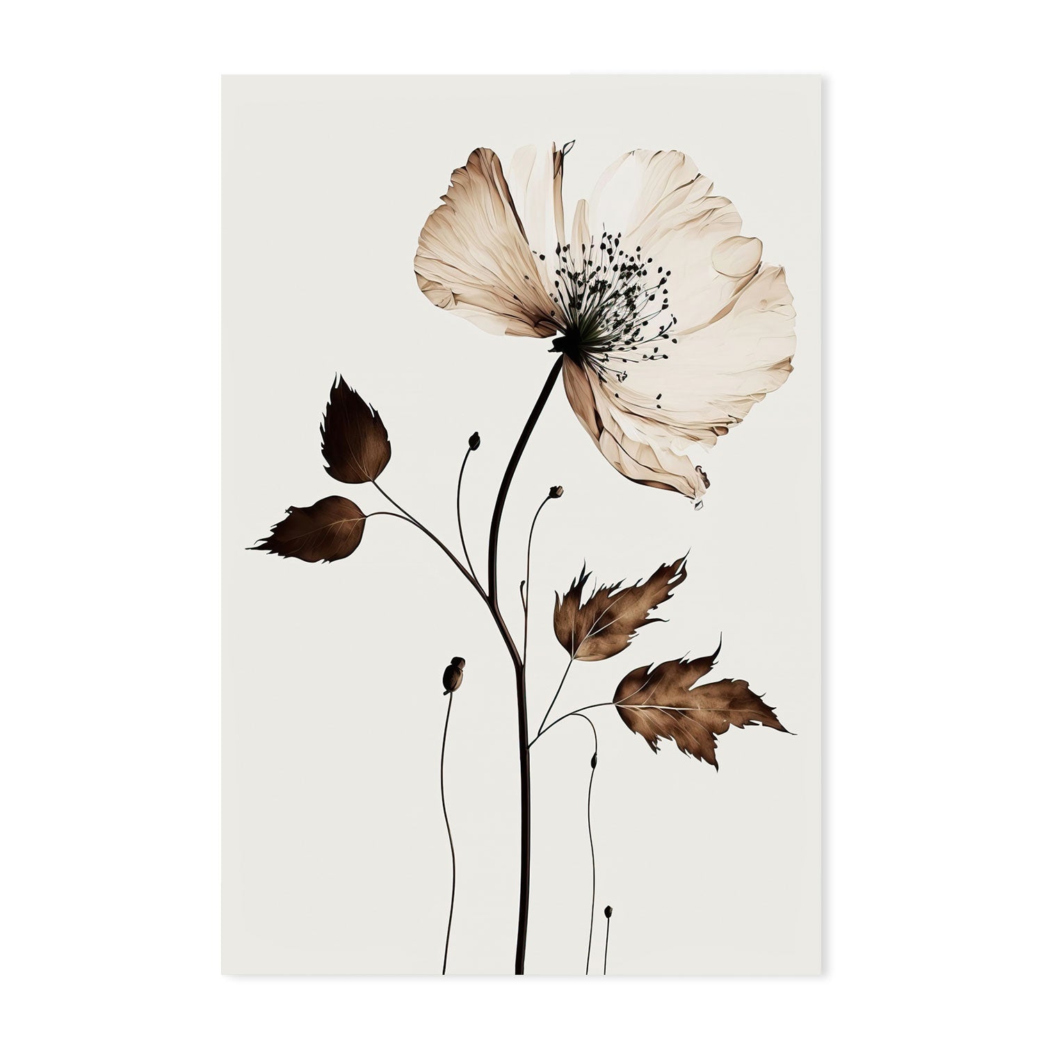 wall-art-print-canvas-poster-framed-Autumn Flower , By Treechild-GIOIA-WALL-ART