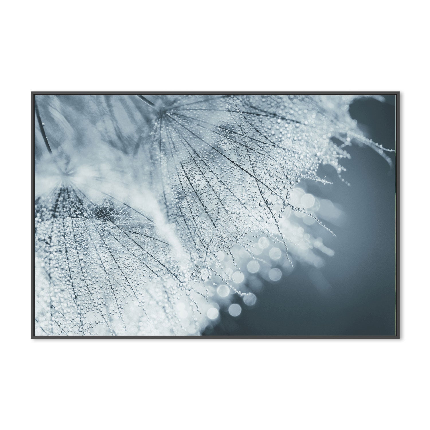 wall-art-print-canvas-poster-framed-Backlight, by Heidi Westum-by-Plus X Studio-Gioia Wall Art