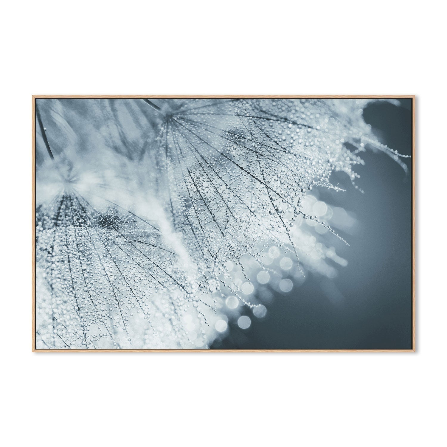 wall-art-print-canvas-poster-framed-Backlight, by Heidi Westum-by-Plus X Studio-Gioia Wall Art