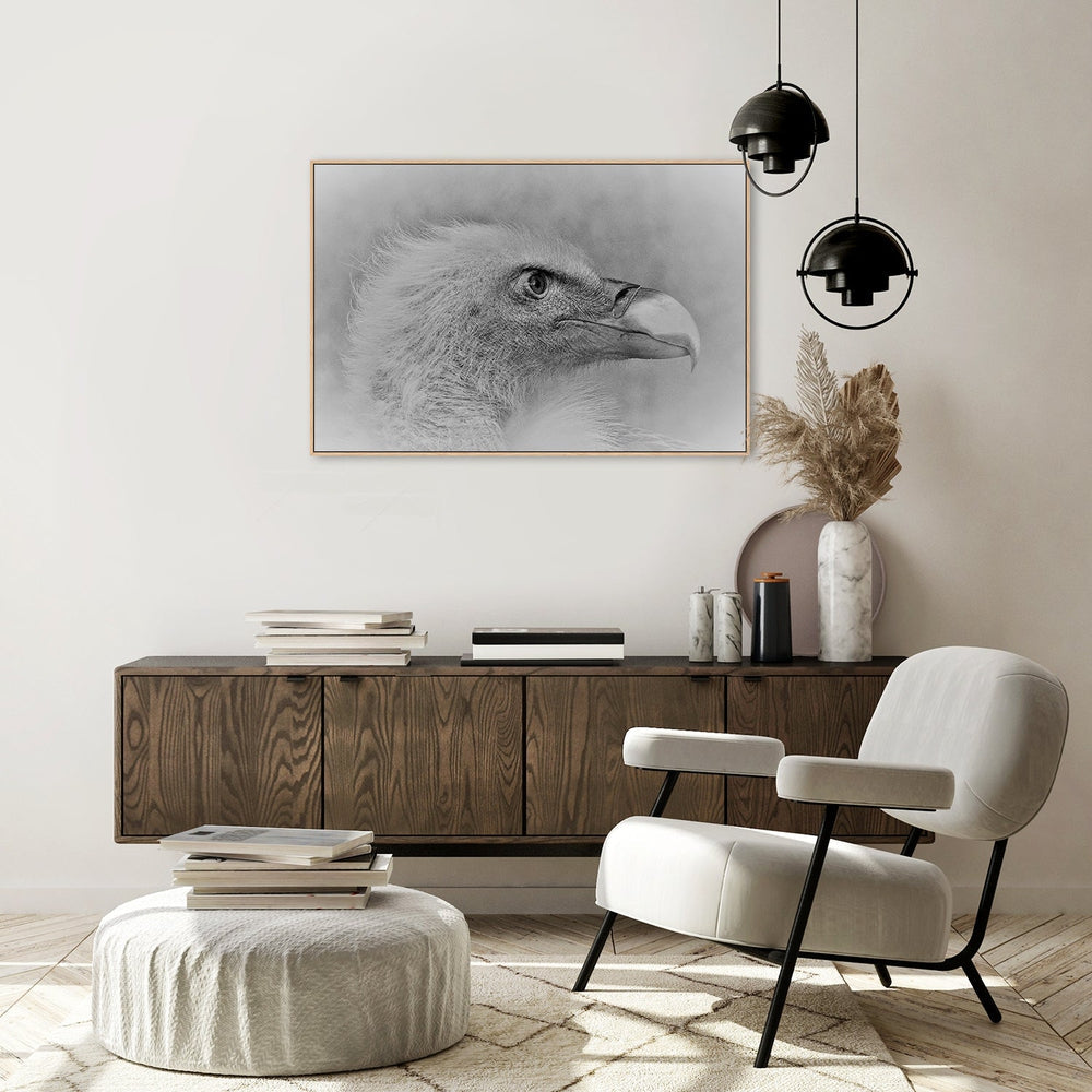 wall-art-print-canvas-poster-framed-Bald Eagle, By Cristian Andreescu-by-Plus X Studio-Gioia Wall Art