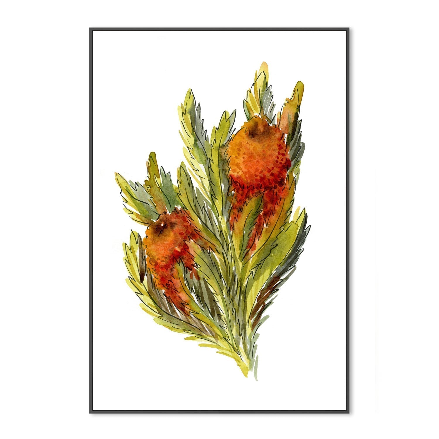 wall-art-print-canvas-poster-framed-Banksia Ashbyi , By Jessie Mitchelson-GIOIA-WALL-ART