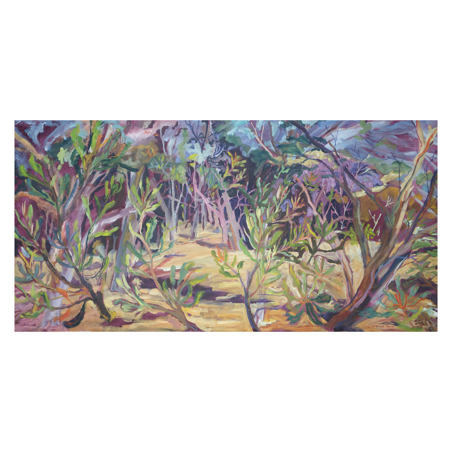 wall-art-print-canvas-poster-framed-Banksia Concerto , By Christine Read-1