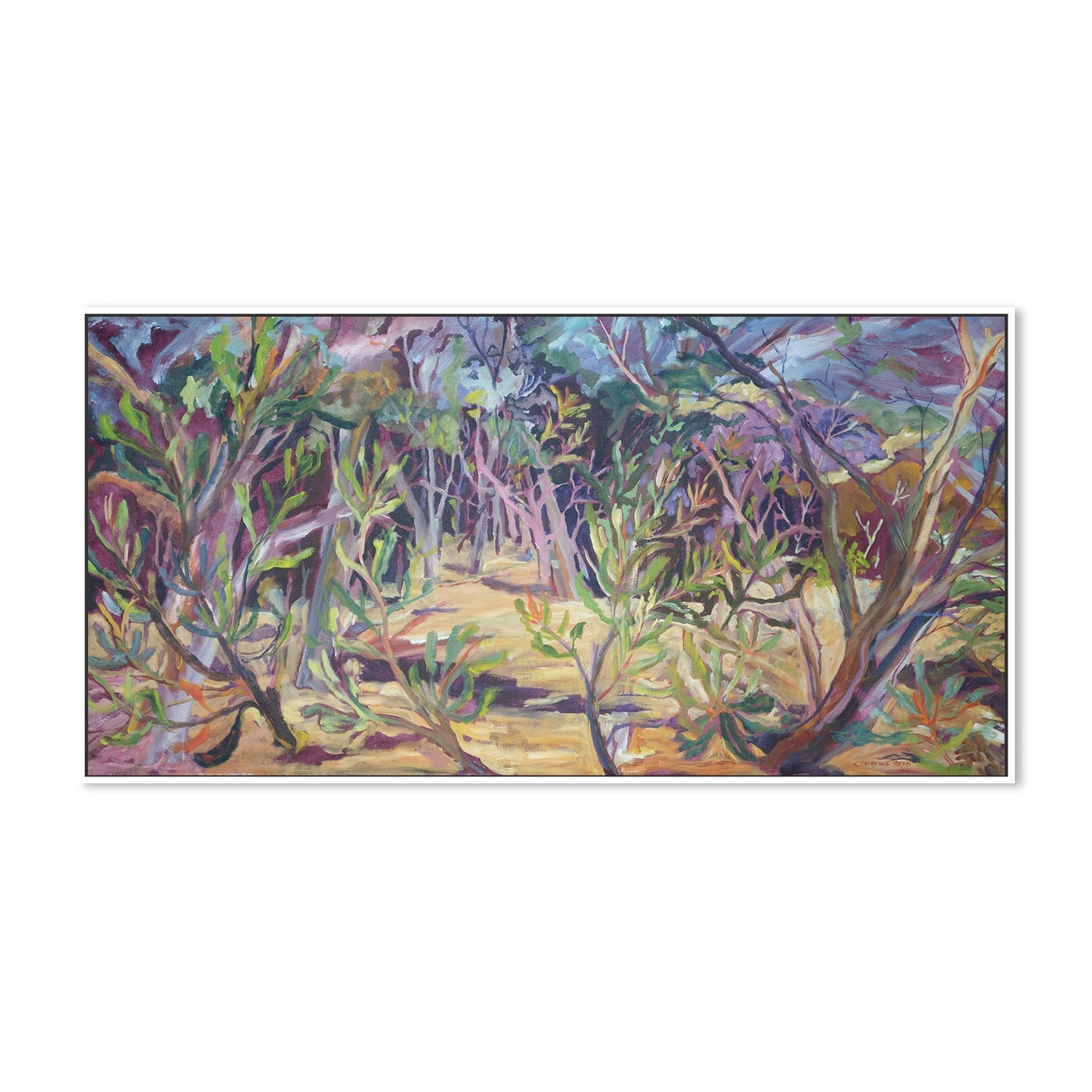 wall-art-print-canvas-poster-framed-Banksia Concerto , By Christine Read-5