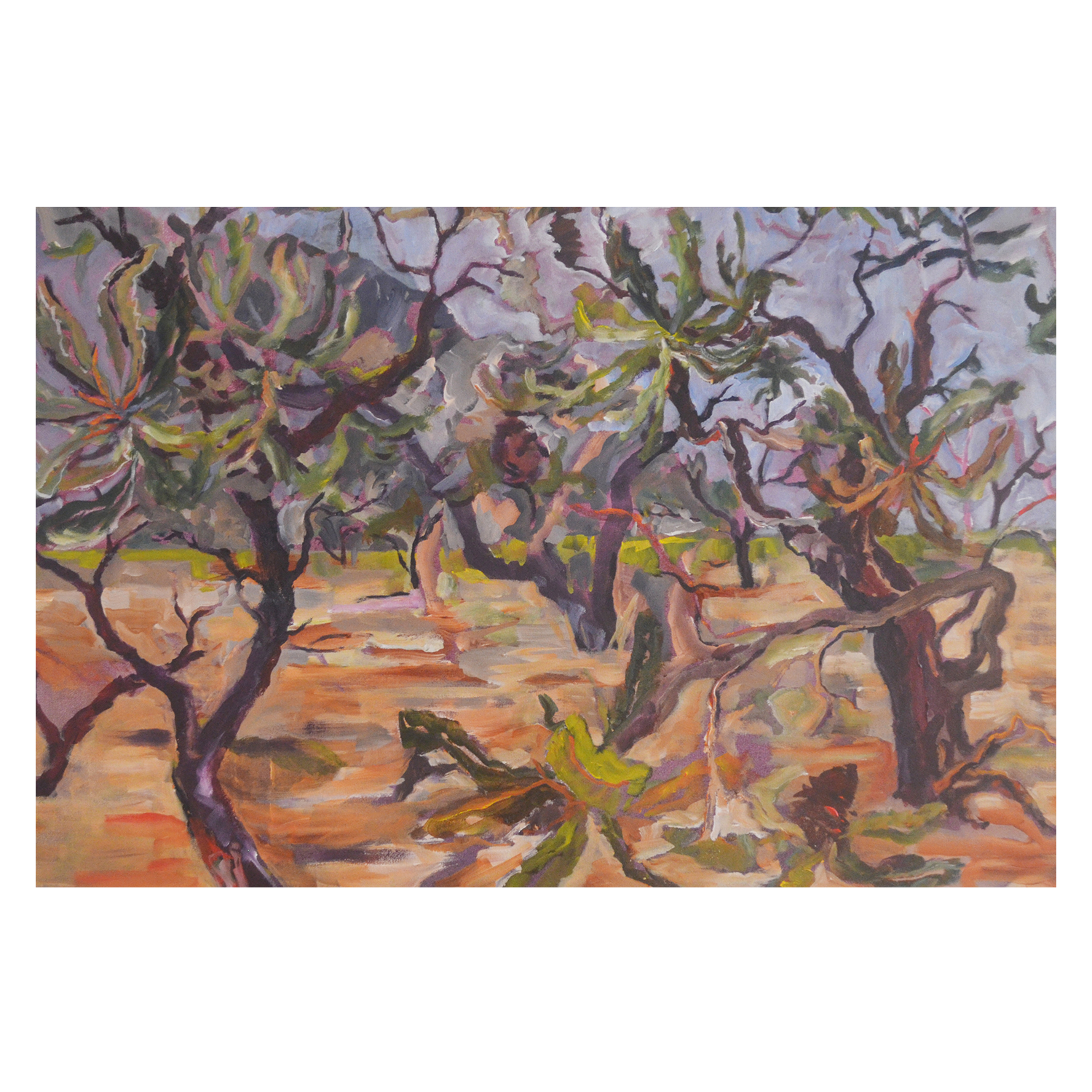 wall-art-print-canvas-poster-framed-Banksia Country , By Christine Read-1