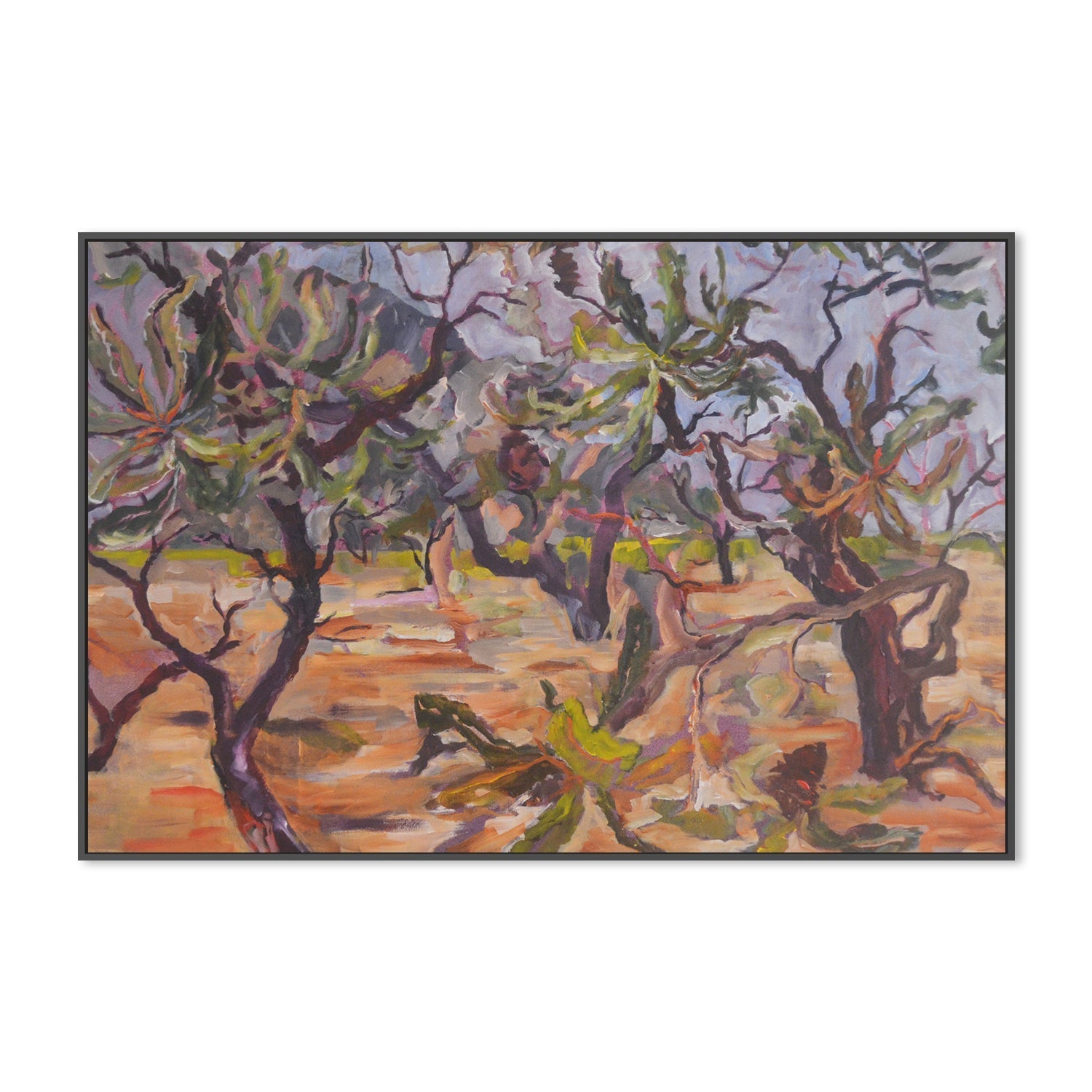 wall-art-print-canvas-poster-framed-Banksia Country , By Christine Read-3