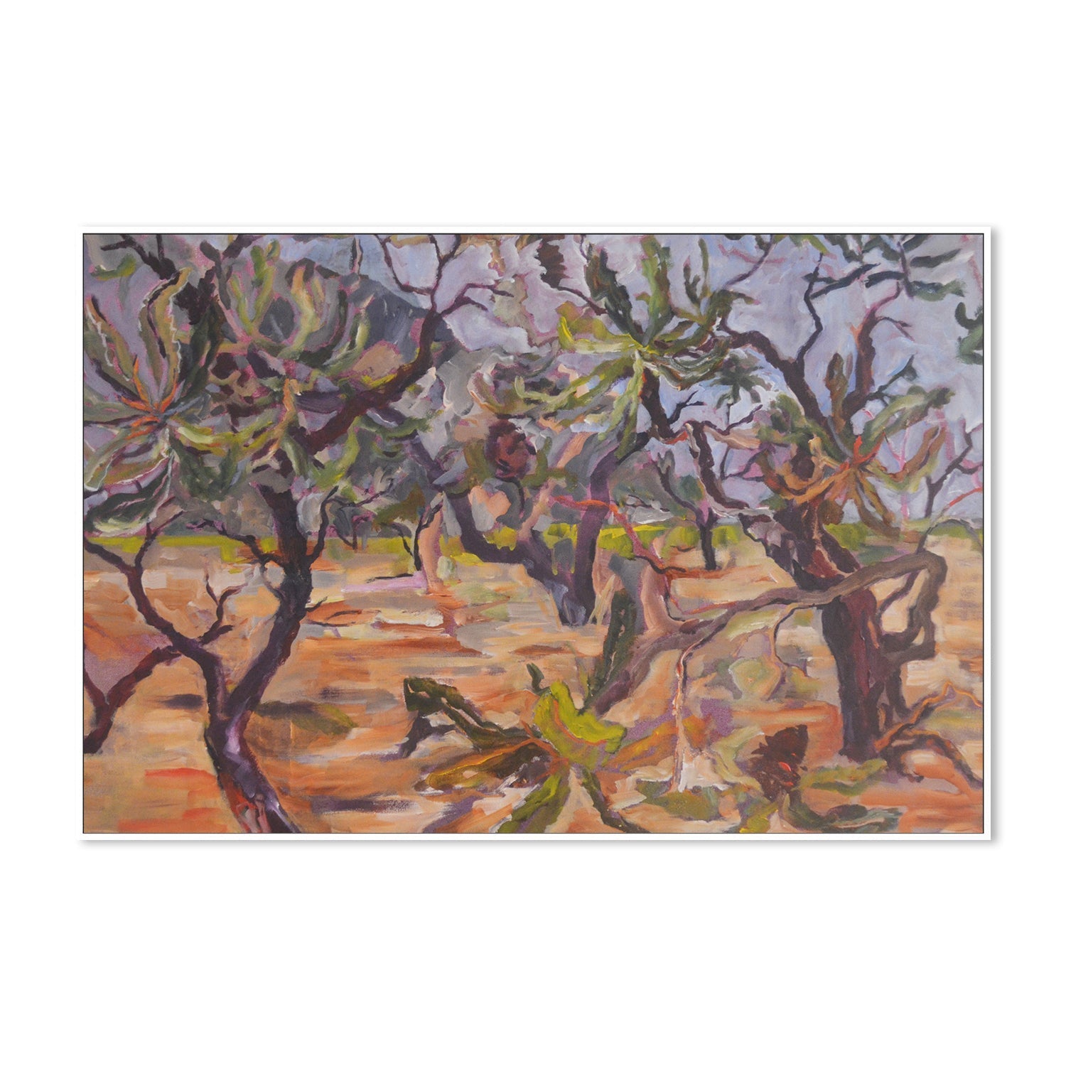 wall-art-print-canvas-poster-framed-Banksia Country , By Christine Read-5