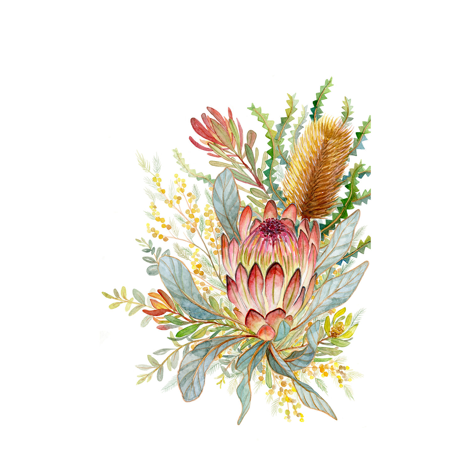 wall-art-print-canvas-poster-framed-Banksia & Leucadendron , By Jessie Mitchelson-1