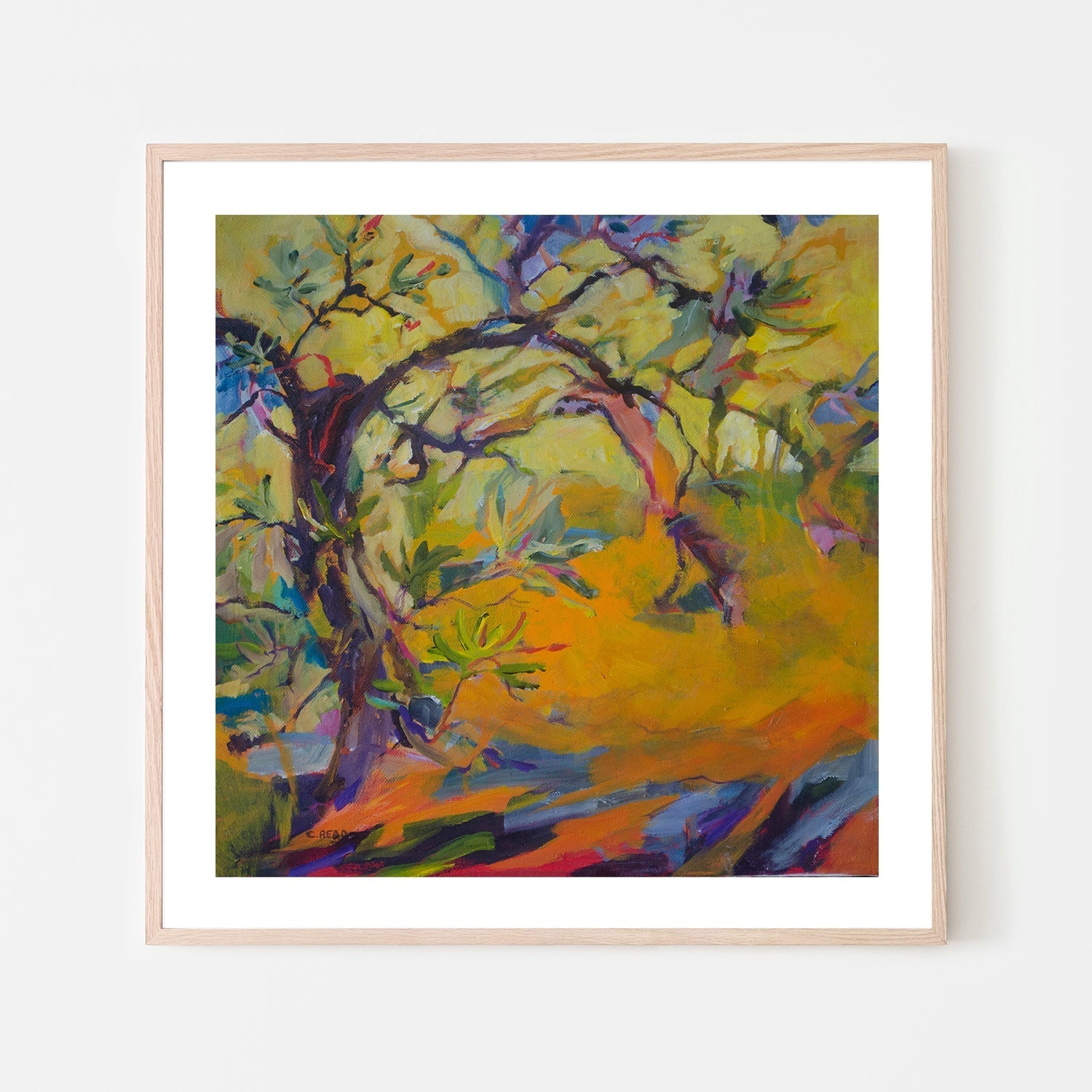wall-art-print-canvas-poster-framed-Banksia Poetry , By Christine Read-6