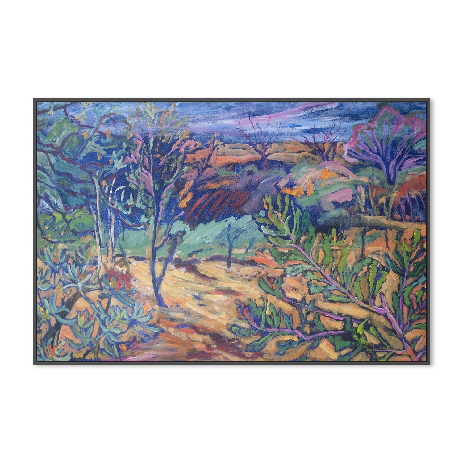 wall-art-print-canvas-poster-framed-Banksia Symphony , By Christine Read-3