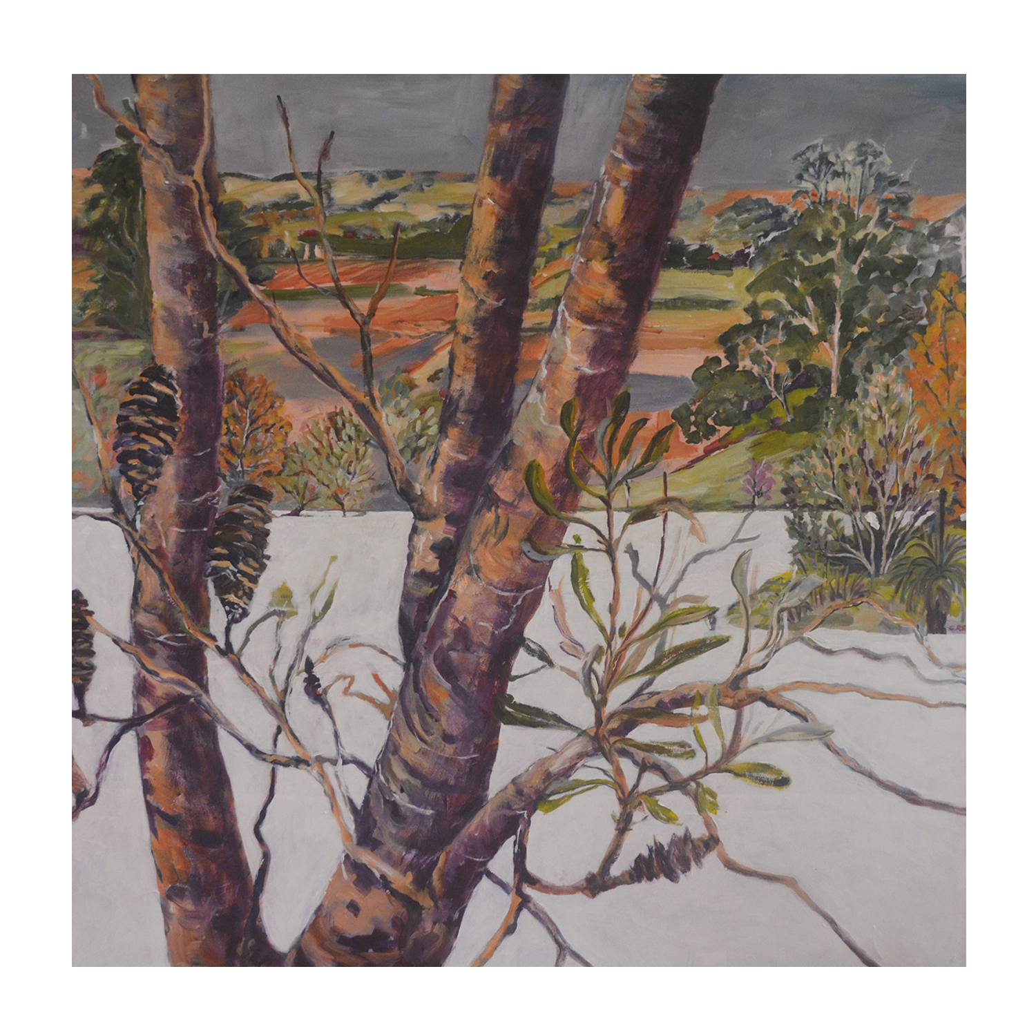 wall-art-print-canvas-poster-framed-Banksia View , By Christine Read-1