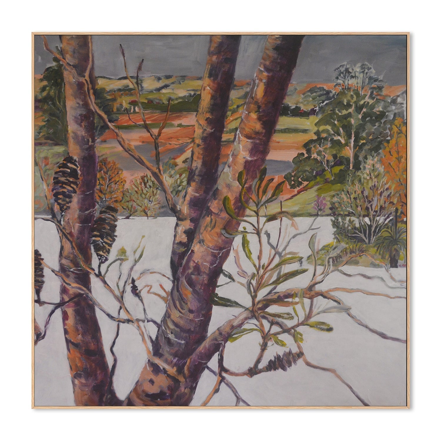 wall-art-print-canvas-poster-framed-Banksia View , By Christine Read-4