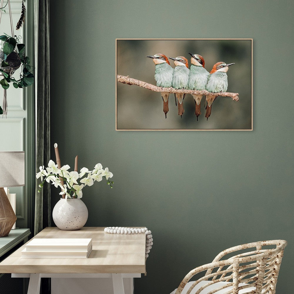 wall-art-print-canvas-poster-framed-Bee-Eater Resting, By Xavier Ortega-by-Plus X Studio-Gioia Wall Art
