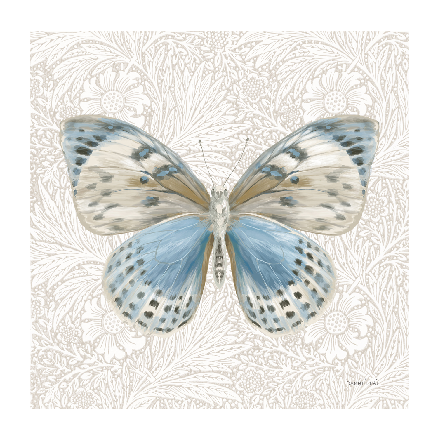 wall-art-print-canvas-poster-framed-Beetles and Butterflies , By Danhui Nai-1