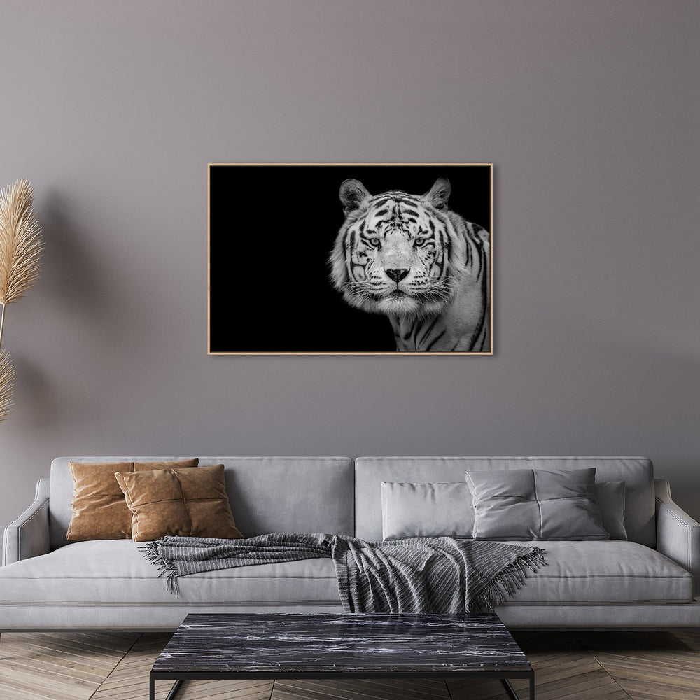 wall-art-print-canvas-poster-framed-Bengal White Tiger, By Nauzet Baez Photography-by-Plus X Studio-Gioia Wall Art