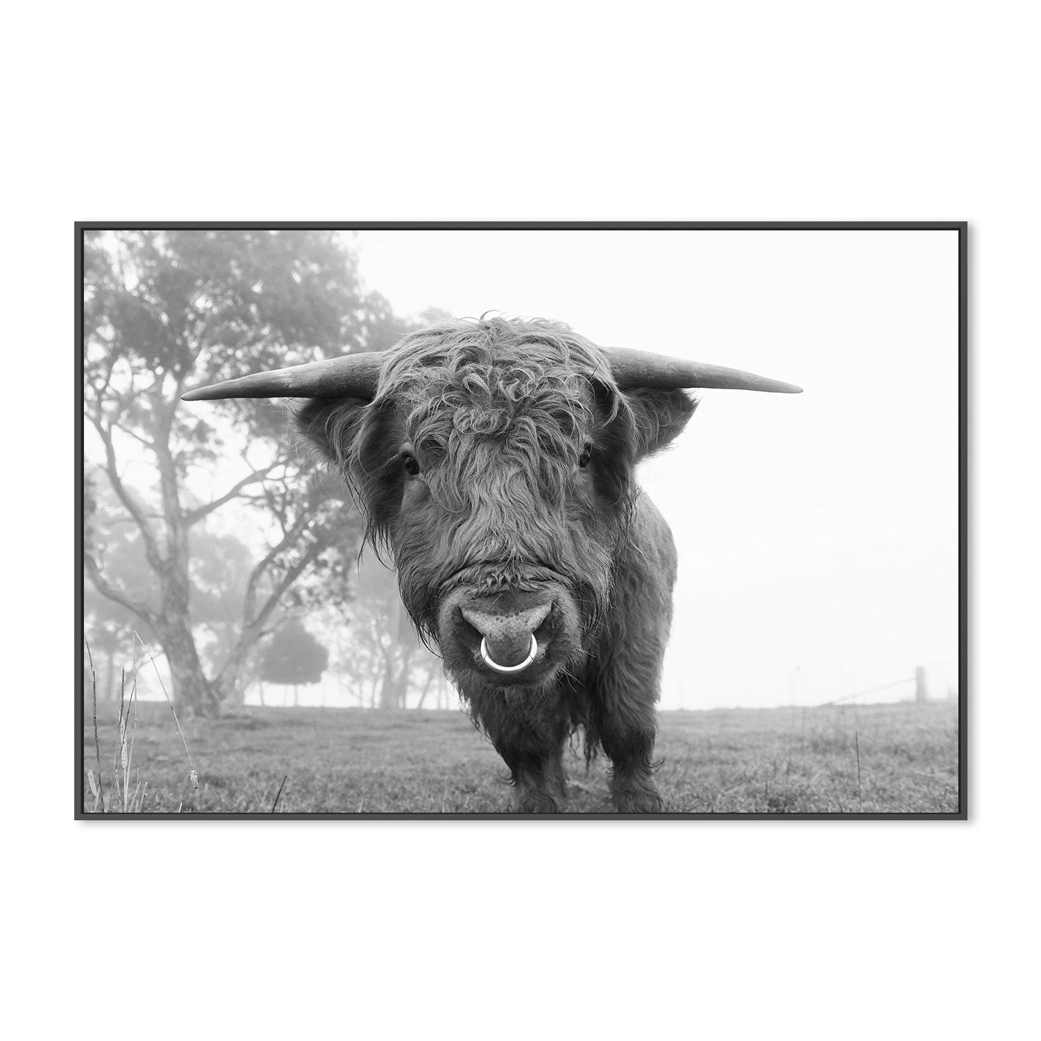 wall-art-print-canvas-poster-framed-Big Boss , By Belinda Gerace-3