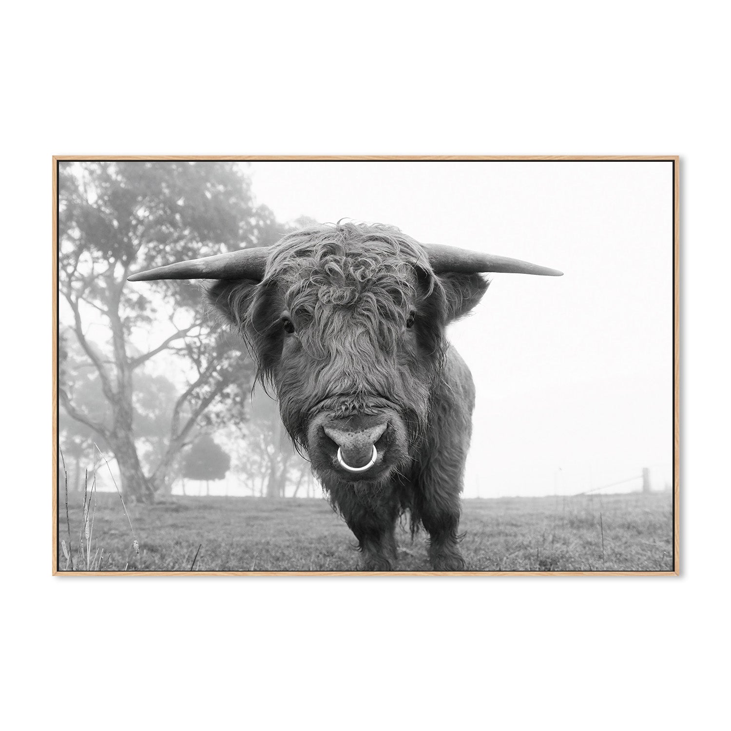 wall-art-print-canvas-poster-framed-Big Boss , By Belinda Gerace-4