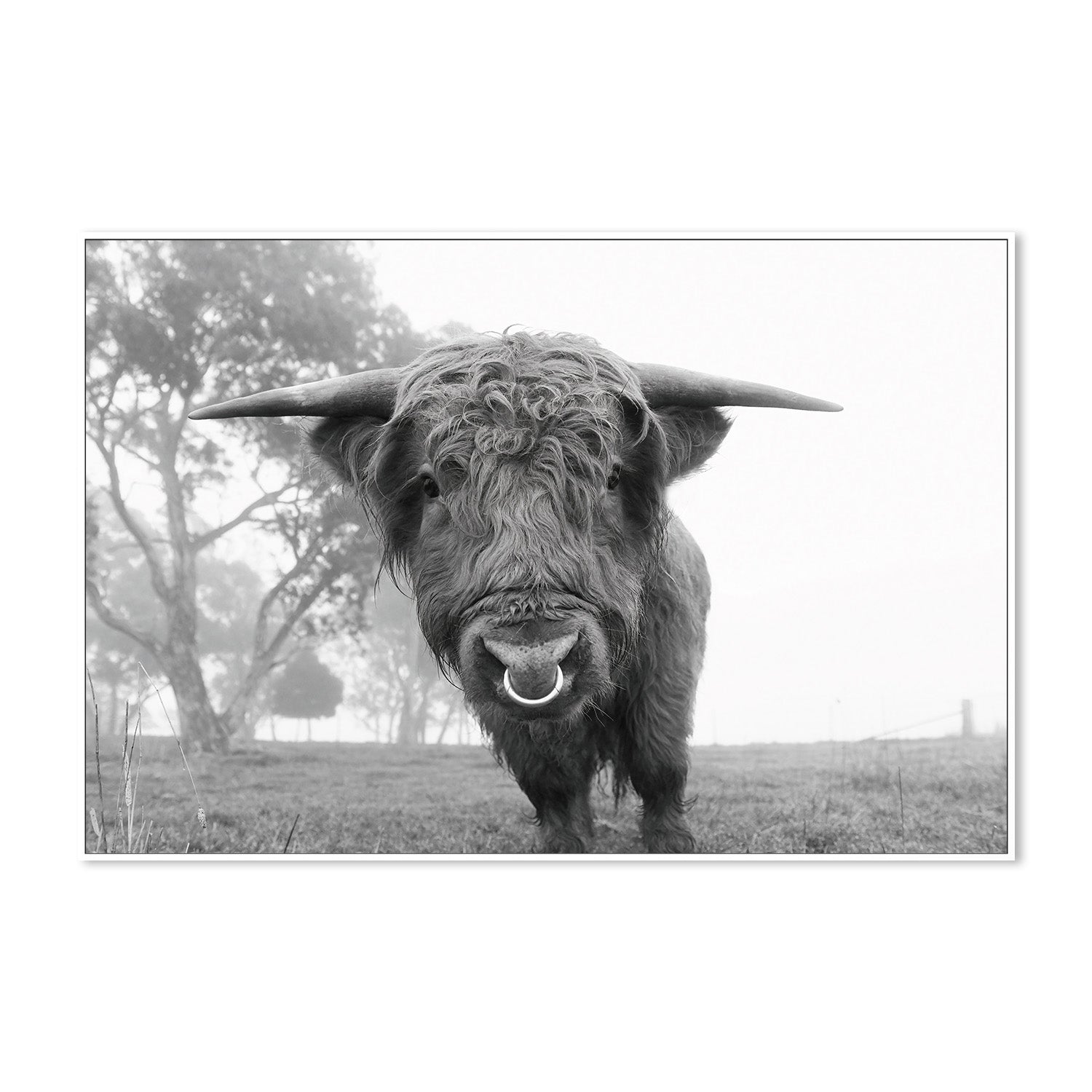 wall-art-print-canvas-poster-framed-Big Boss , By Belinda Gerace-5