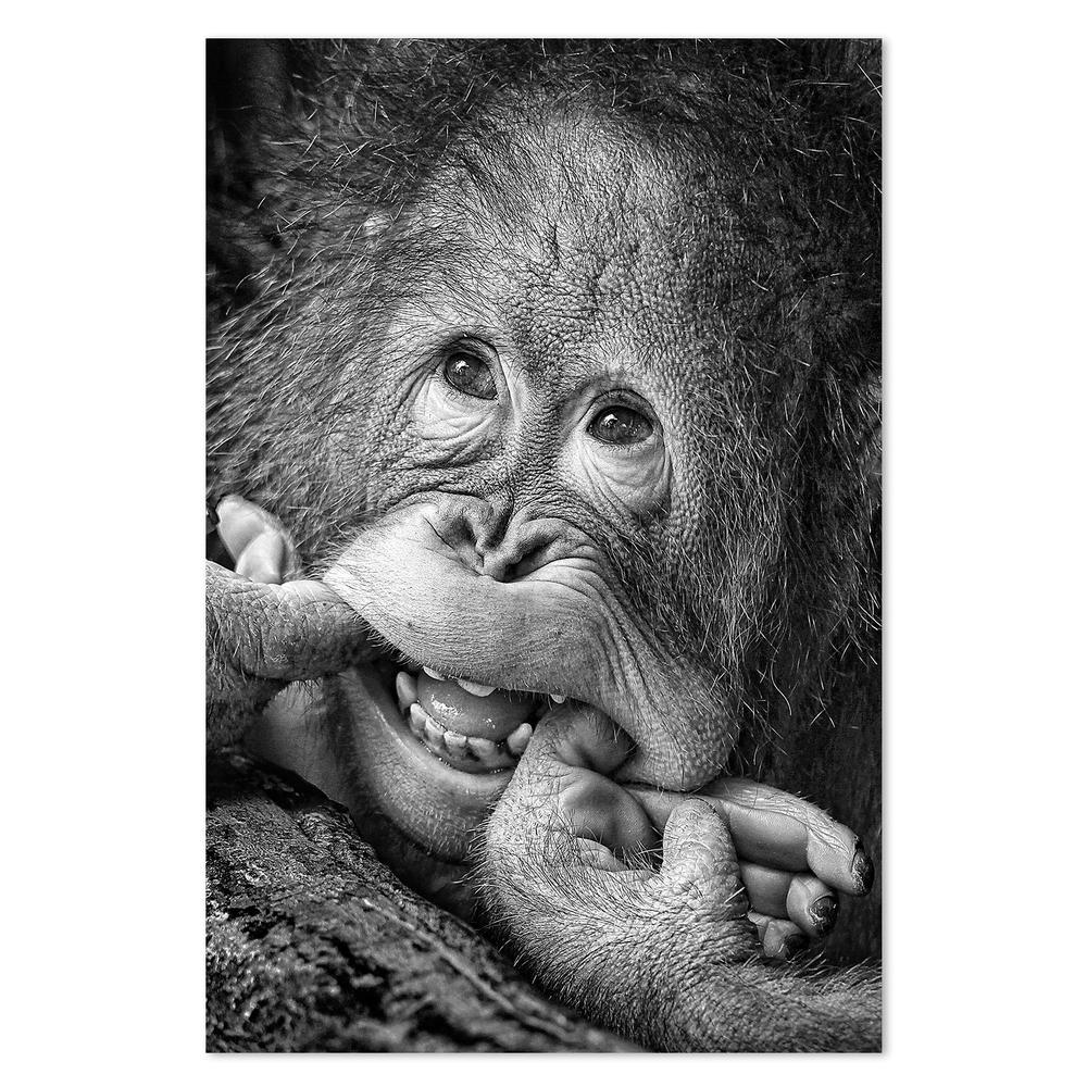 wall-art-print-canvas-poster-framed-Big Smile....Please By Angela Muliani Hartojo-by-Plus X Studio-Gioia Wall Art