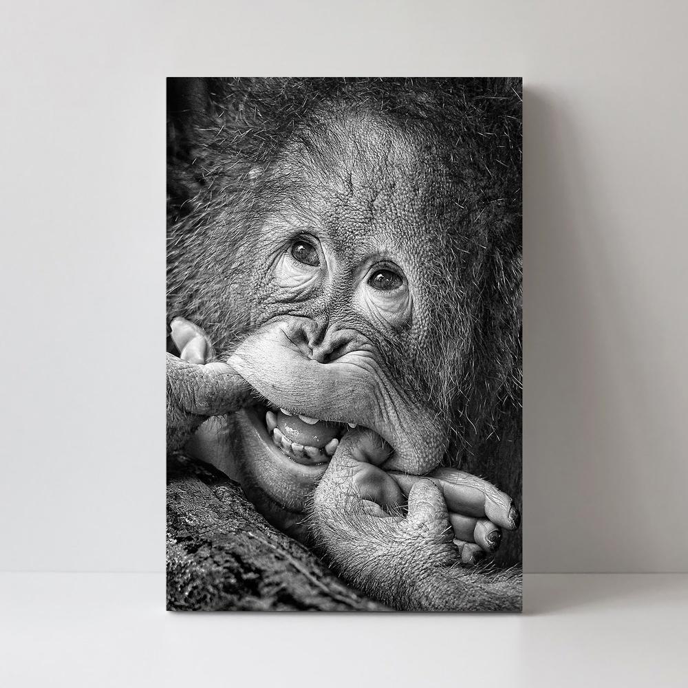 wall-art-print-canvas-poster-framed-Big Smile....Please By Angela Muliani Hartojo-by-Plus X Studio-Gioia Wall Art