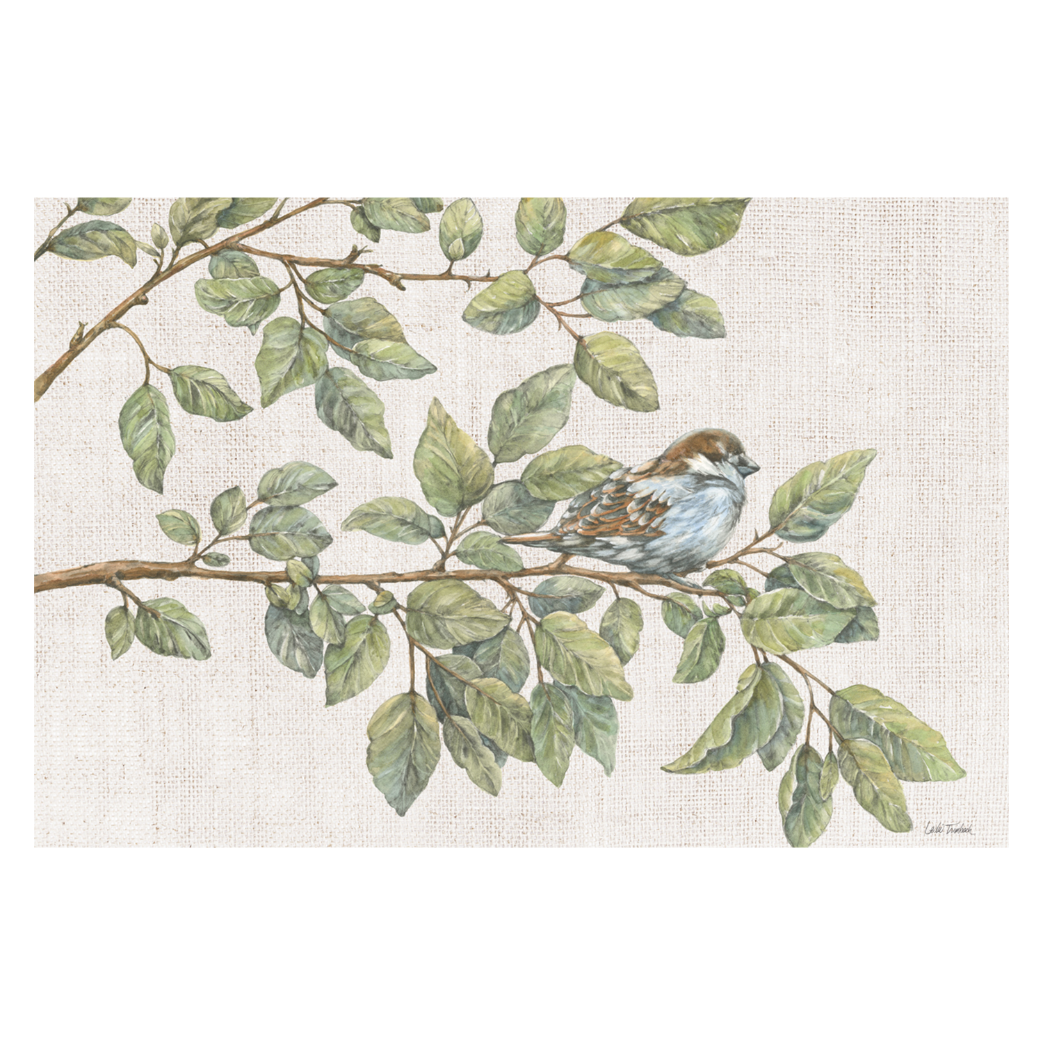 wall-art-print-canvas-poster-framed-Birch On A Branch , By Leslie Trimbach-1