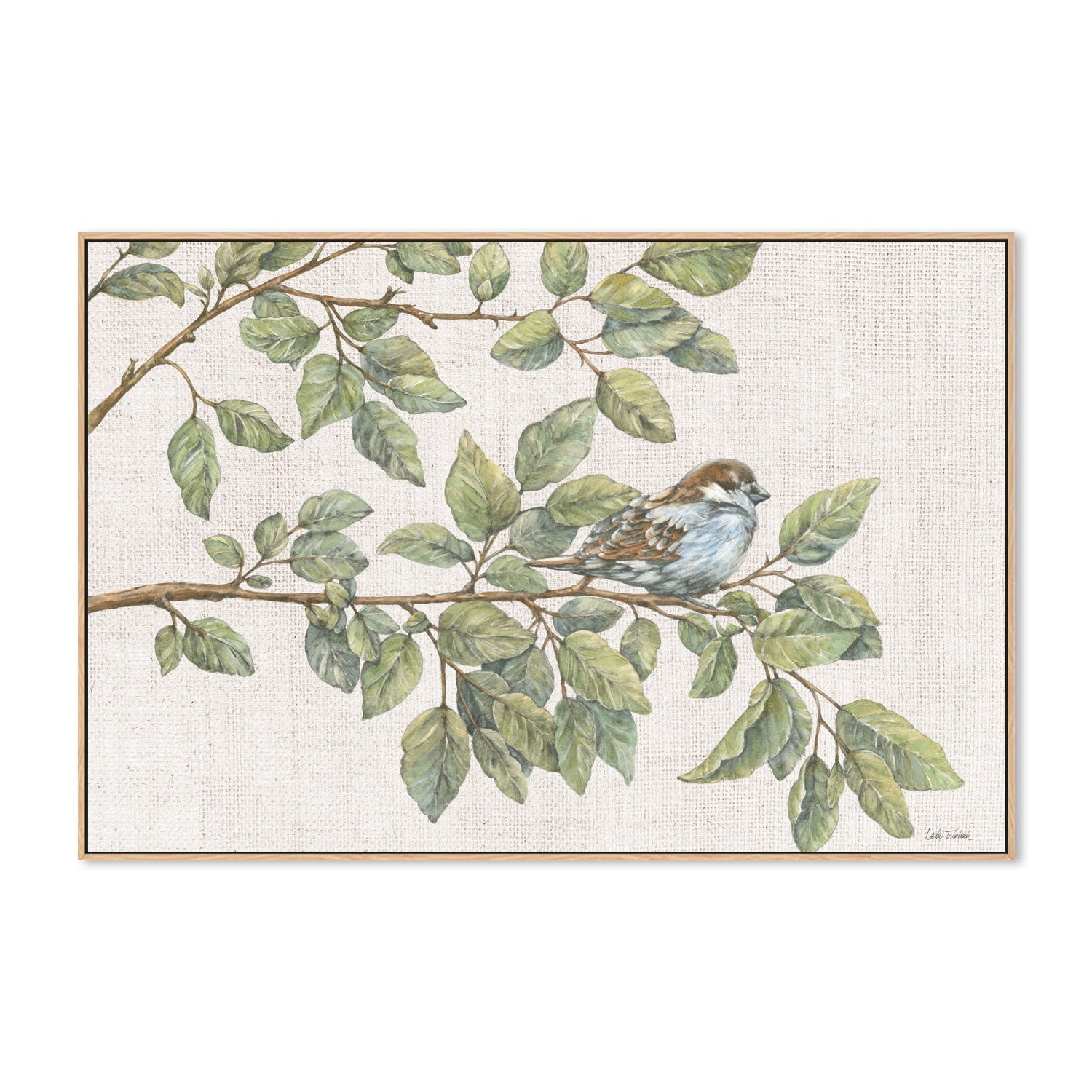 wall-art-print-canvas-poster-framed-Birch On A Branch , By Leslie Trimbach-4