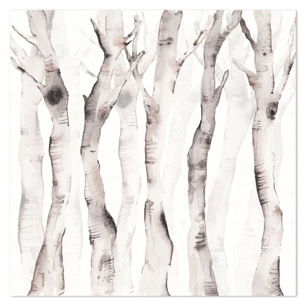 wall-art-print-canvas-poster-framed-Birch Tree Trunks-by-Emily Wood-Gioia Wall Art
