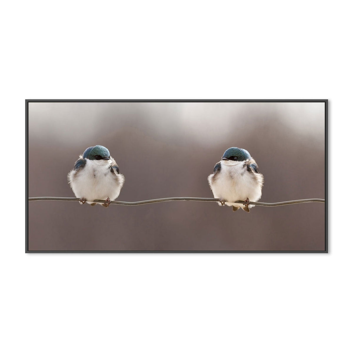wall-art-print-canvas-poster-framed-Birds On A Wire, by Lucie Gagnon-by-Plus X Studio-Gioia Wall Art