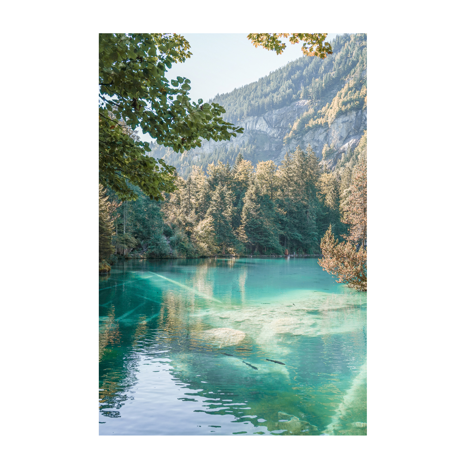 wall-art-print-canvas-poster-framed-Blausee-1