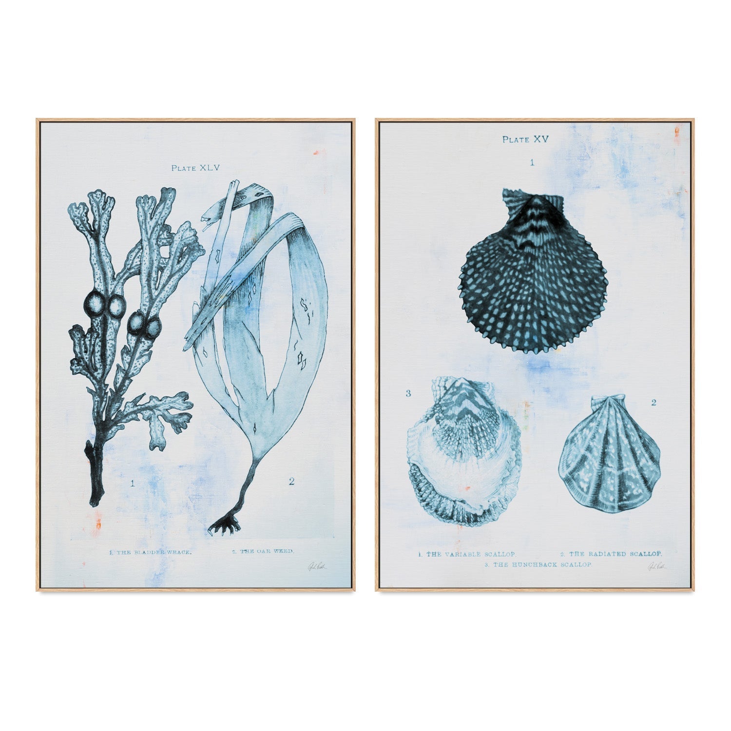 wall-art-print-canvas-poster-framed-Blue Bay, Style A & B, Set Of 2 , By Deborah Revell-4