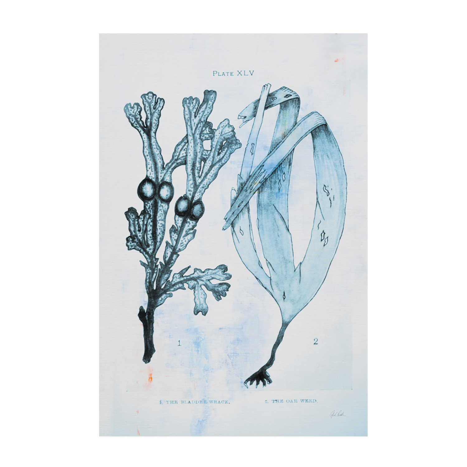 wall-art-print-canvas-poster-framed-Blue Bay, Style A , By Deborah Revell-1