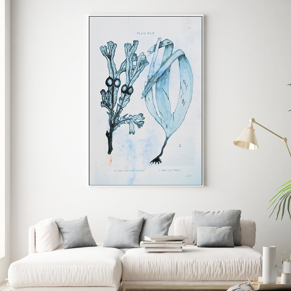 wall-art-print-canvas-poster-framed-Blue Bay, Style A , By Deborah Revell-2