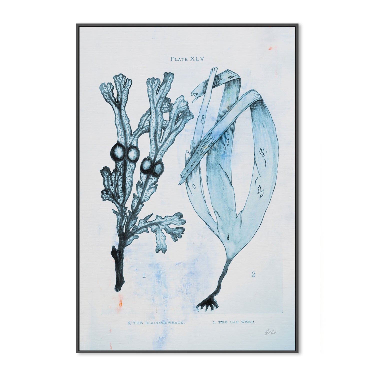 wall-art-print-canvas-poster-framed-Blue Bay, Style A , By Deborah Revell-3