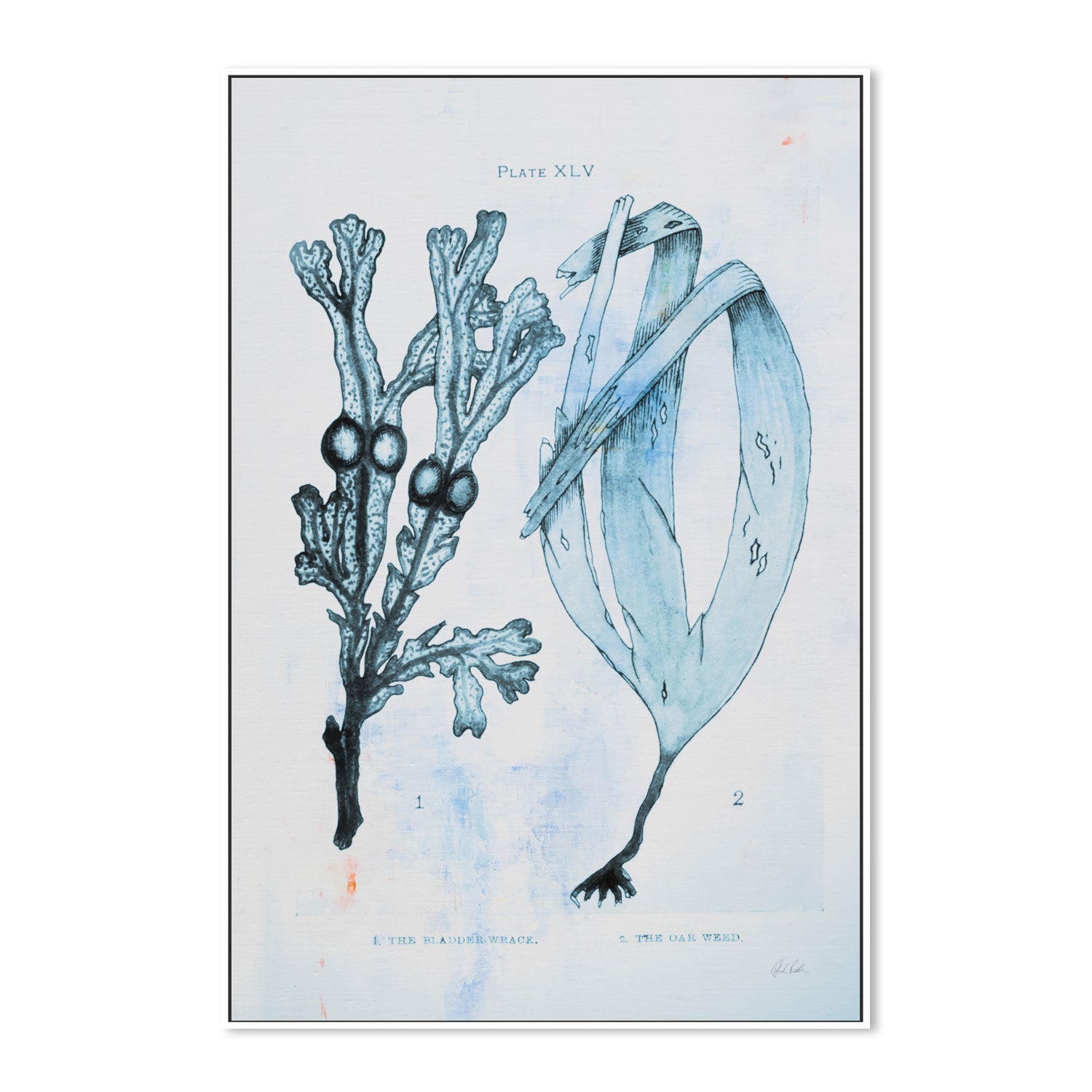 wall-art-print-canvas-poster-framed-Blue Bay, Style A , By Deborah Revell-5