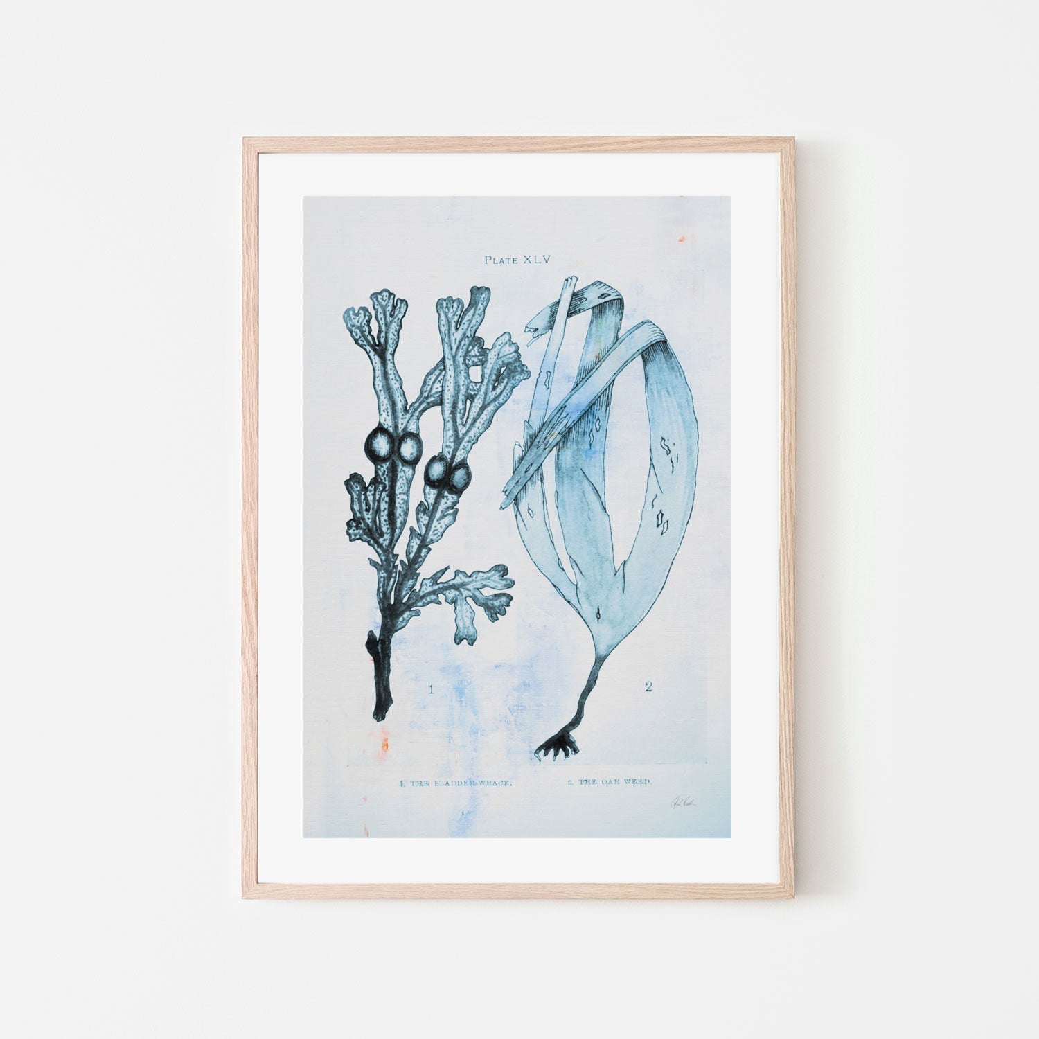 wall-art-print-canvas-poster-framed-Blue Bay, Style A , By Deborah Revell-6