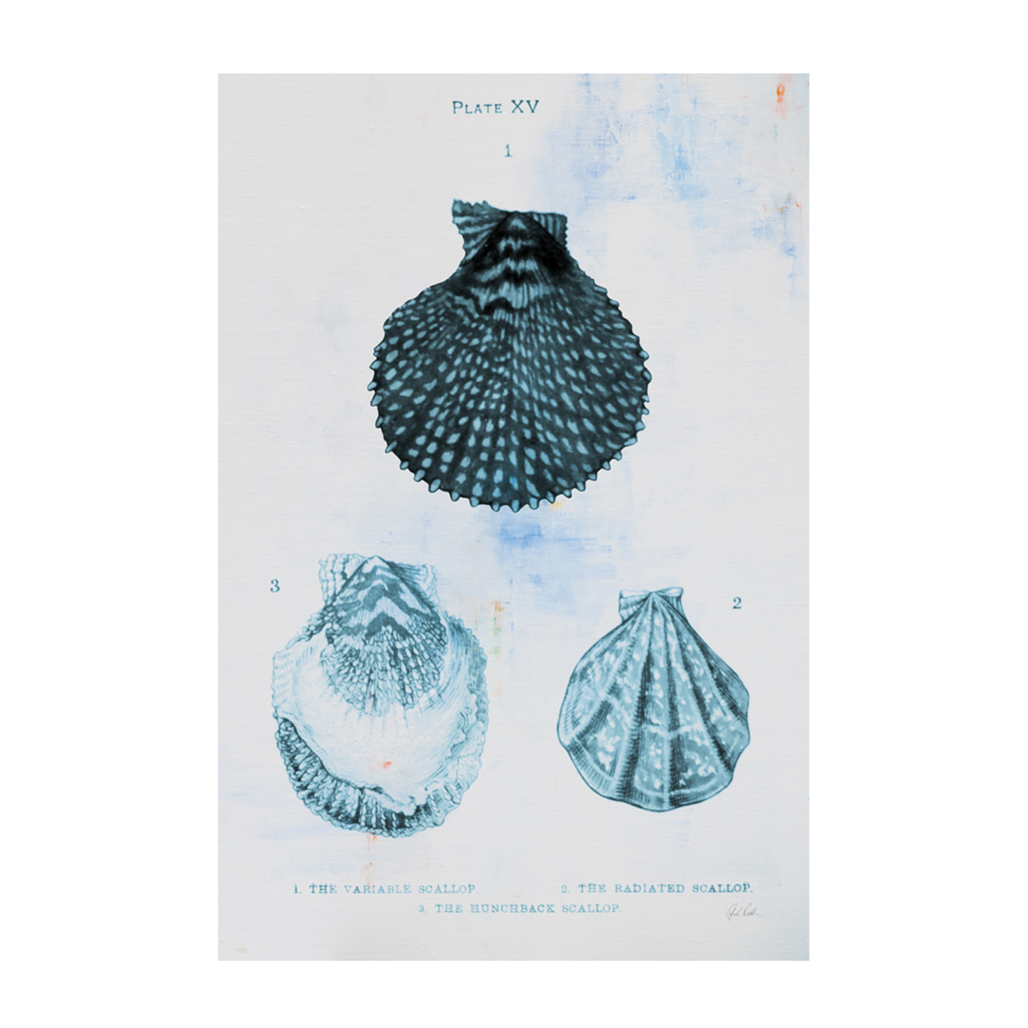 wall-art-print-canvas-poster-framed-Blue Bay, Style B , By Deborah Revell-1