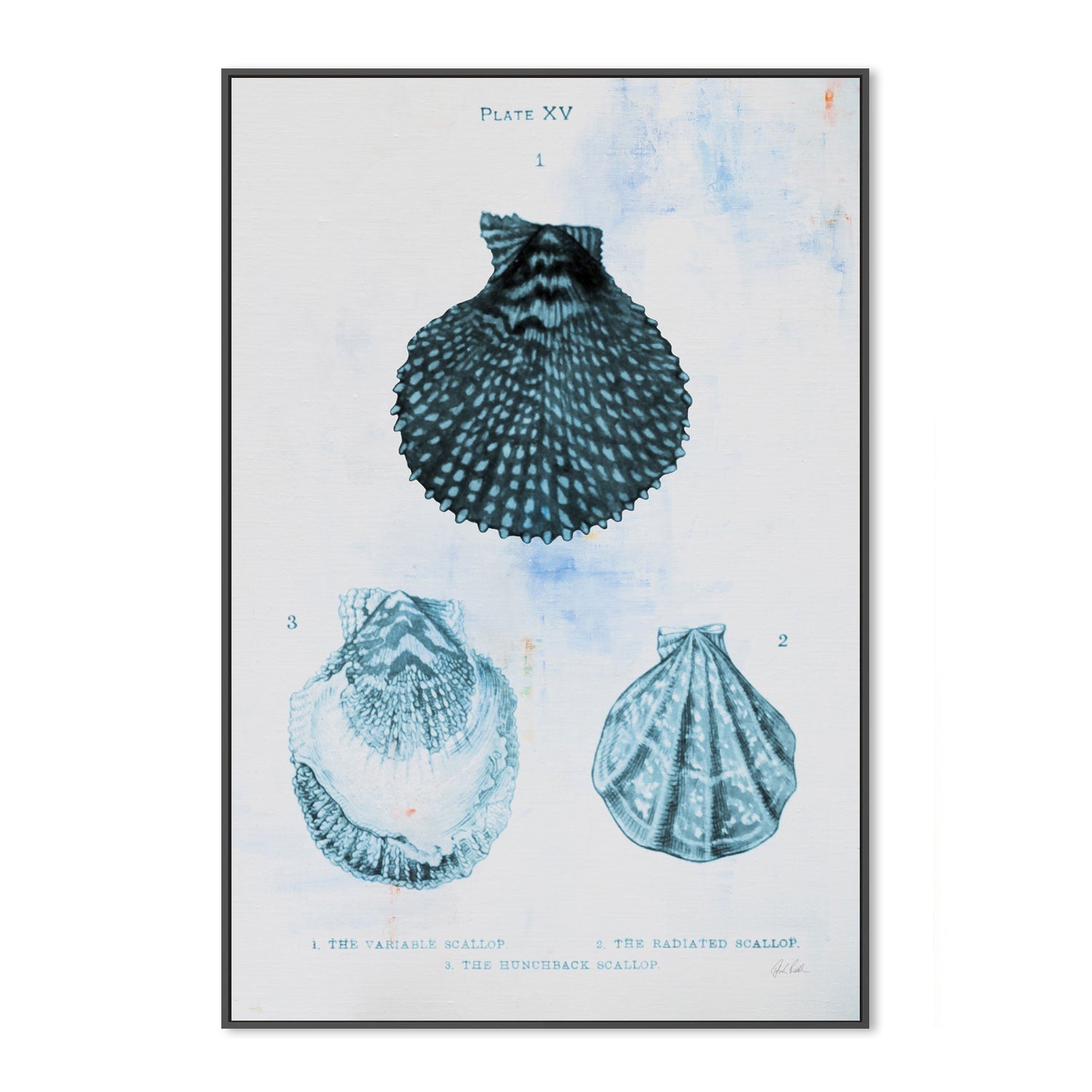 wall-art-print-canvas-poster-framed-Blue Bay, Style B , By Deborah Revell-3