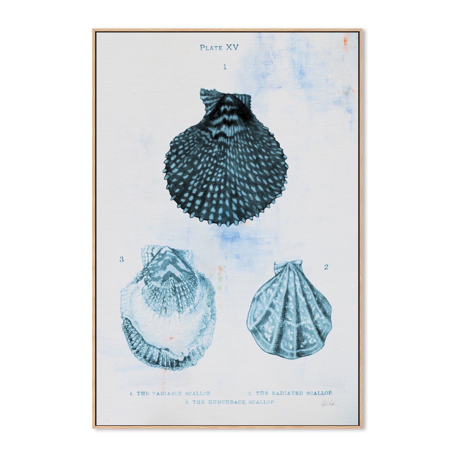 wall-art-print-canvas-poster-framed-Blue Bay, Style B , By Deborah Revell-4