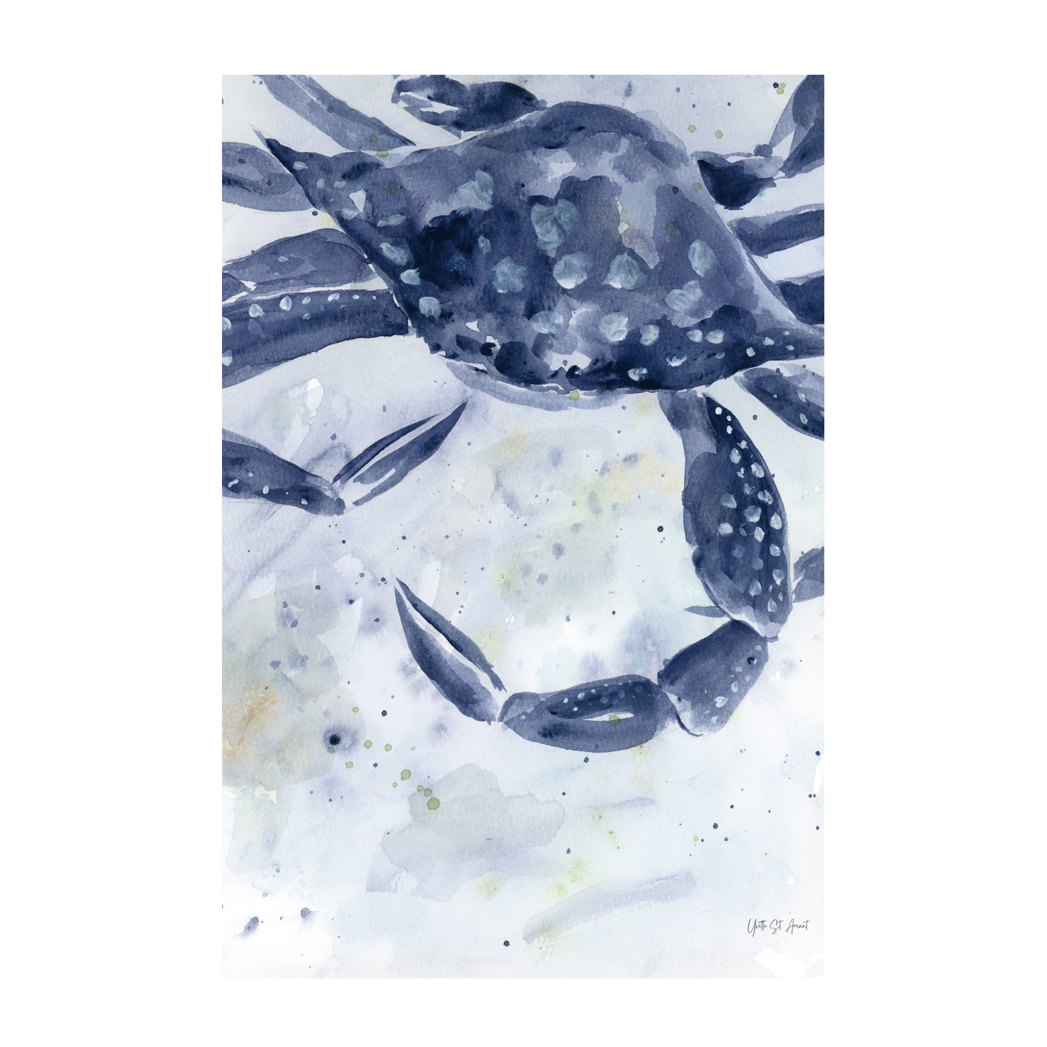 wall-art-print-canvas-poster-framed-Blue Crab , By Yvette St. Amant-1