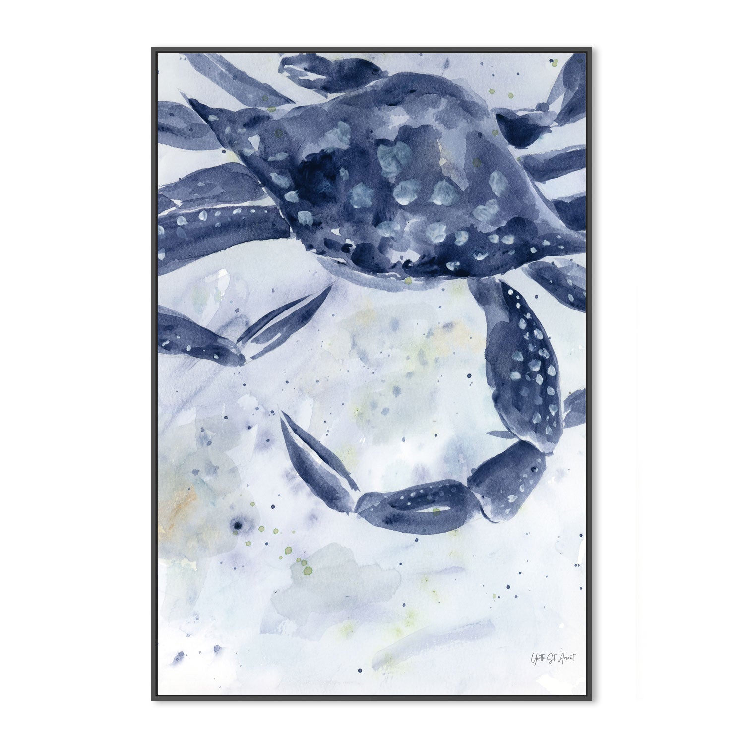 wall-art-print-canvas-poster-framed-Blue Crab , By Yvette St. Amant-3