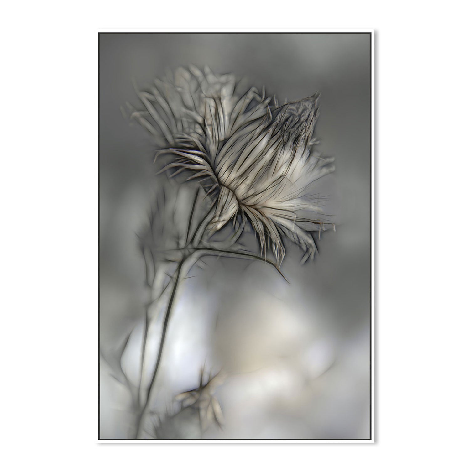 wall-art-print-canvas-poster-framed-Blurred Flower , By Gilbert Claes-GIOIA-WALL-ART