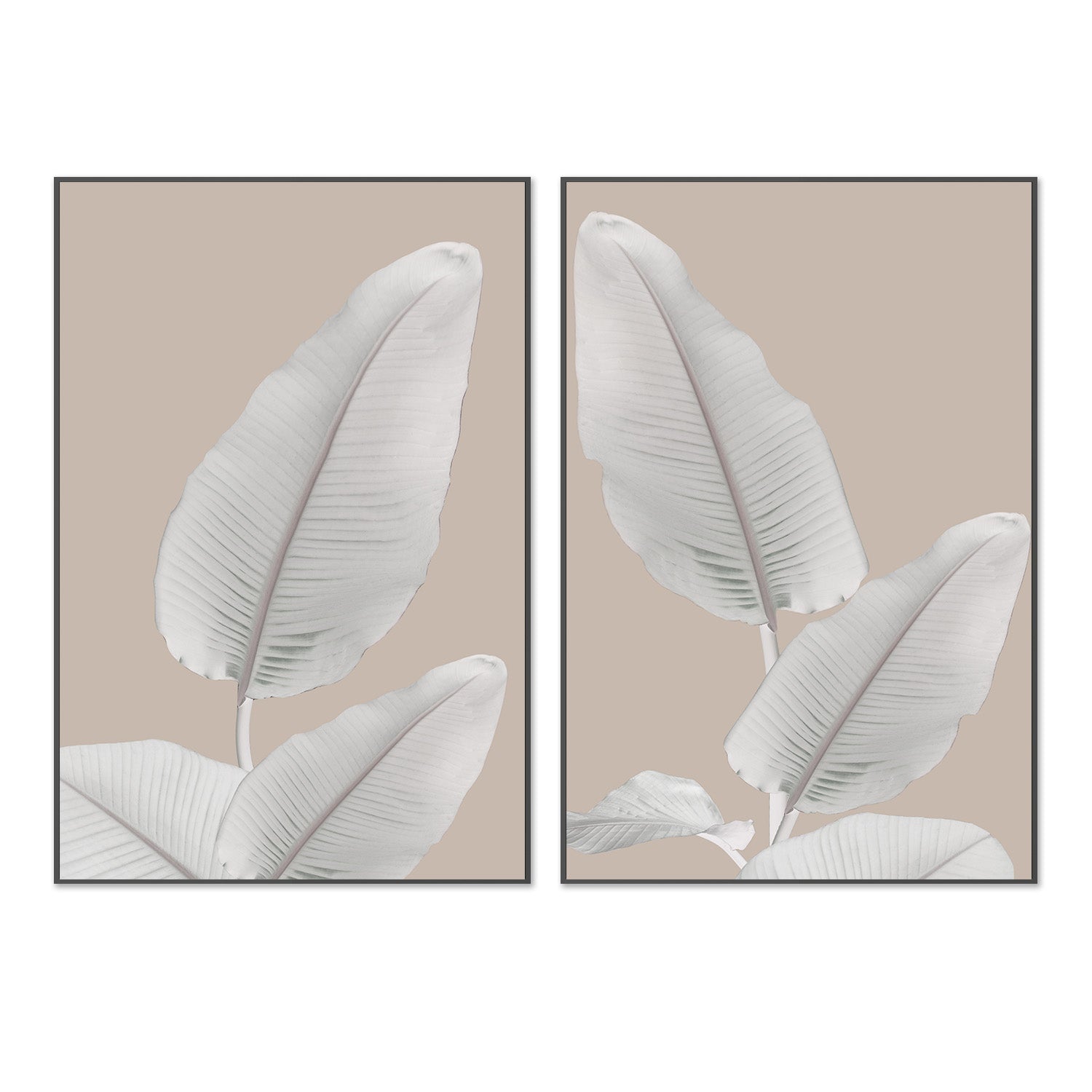 wall-art-print-canvas-poster-framed-Blush Paradise, Style A & B, Set Of 2 , By Danny Singh-3