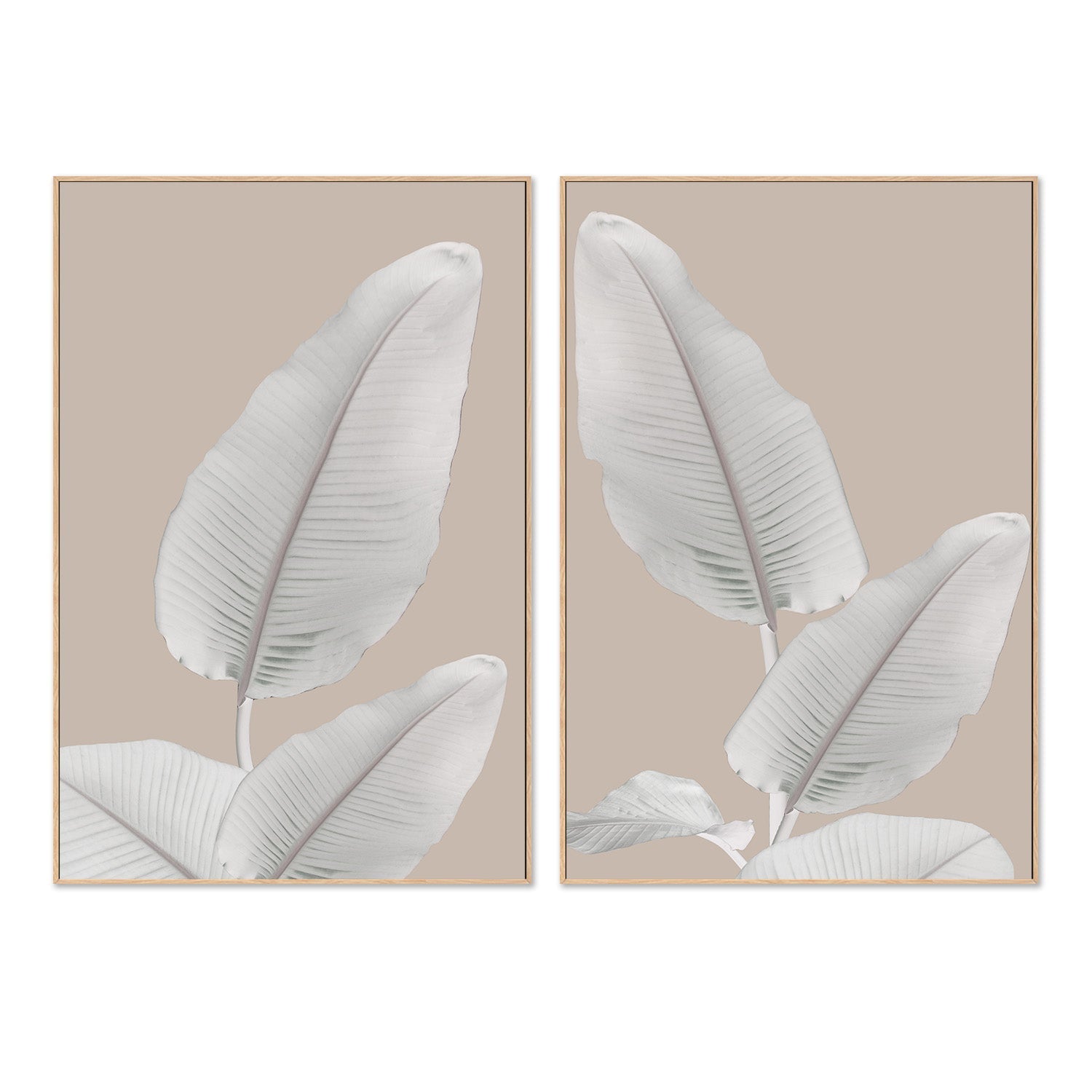 wall-art-print-canvas-poster-framed-Blush Paradise, Style A & B, Set Of 2 , By Danny Singh-4