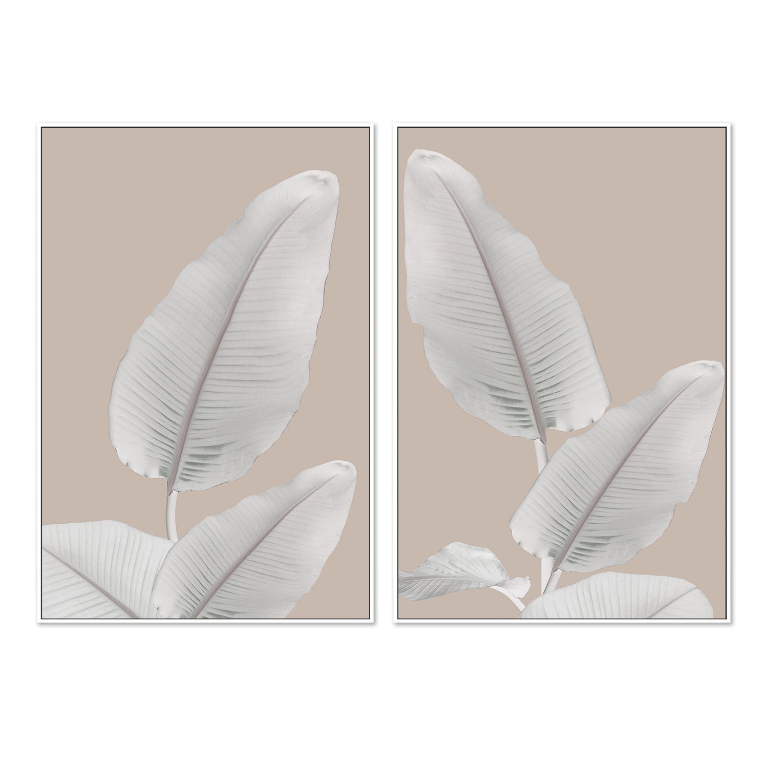 wall-art-print-canvas-poster-framed-Blush Paradise, Style A & B, Set Of 2 , By Danny Singh-5