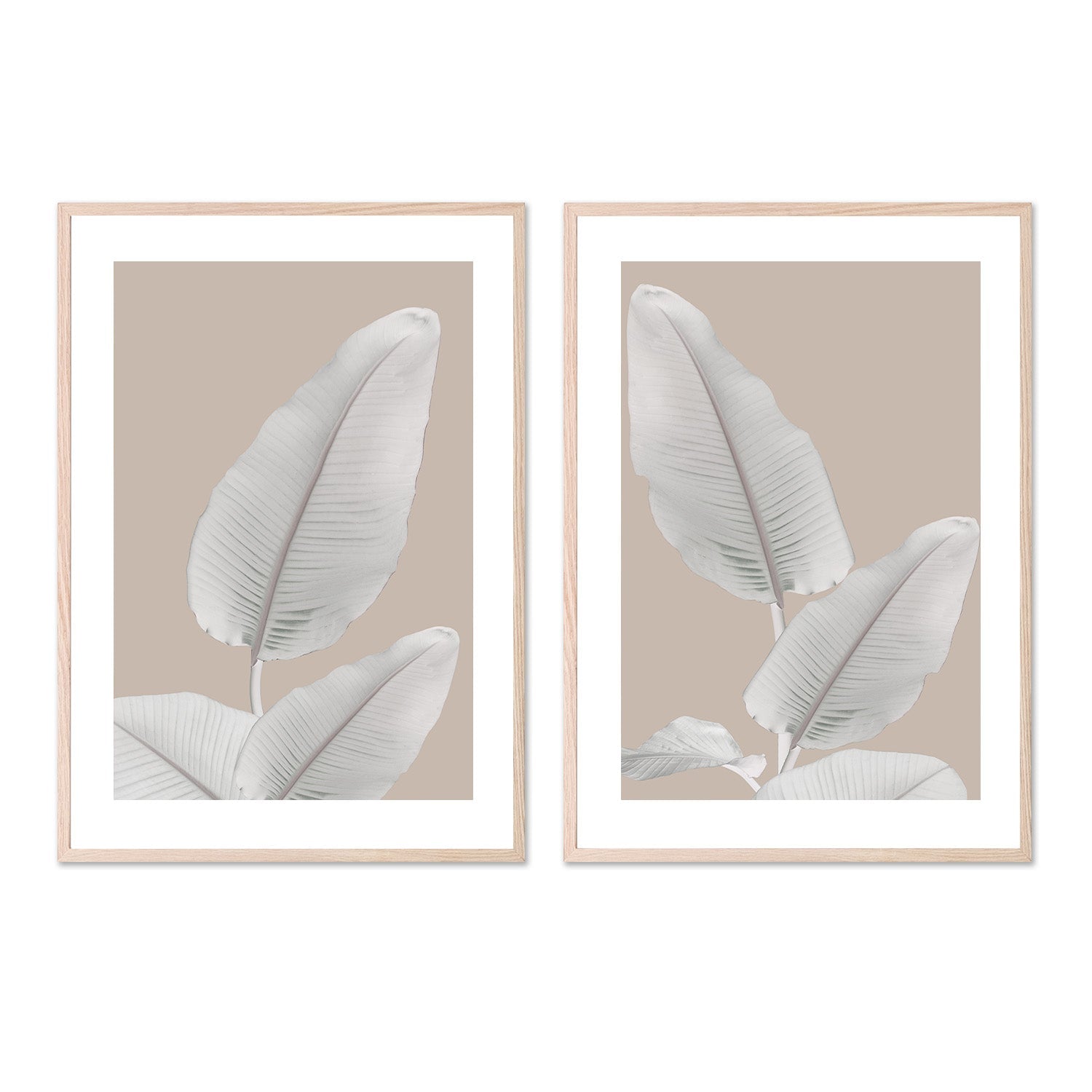 wall-art-print-canvas-poster-framed-Blush Paradise, Style A & B, Set Of 2 , By Danny Singh-6