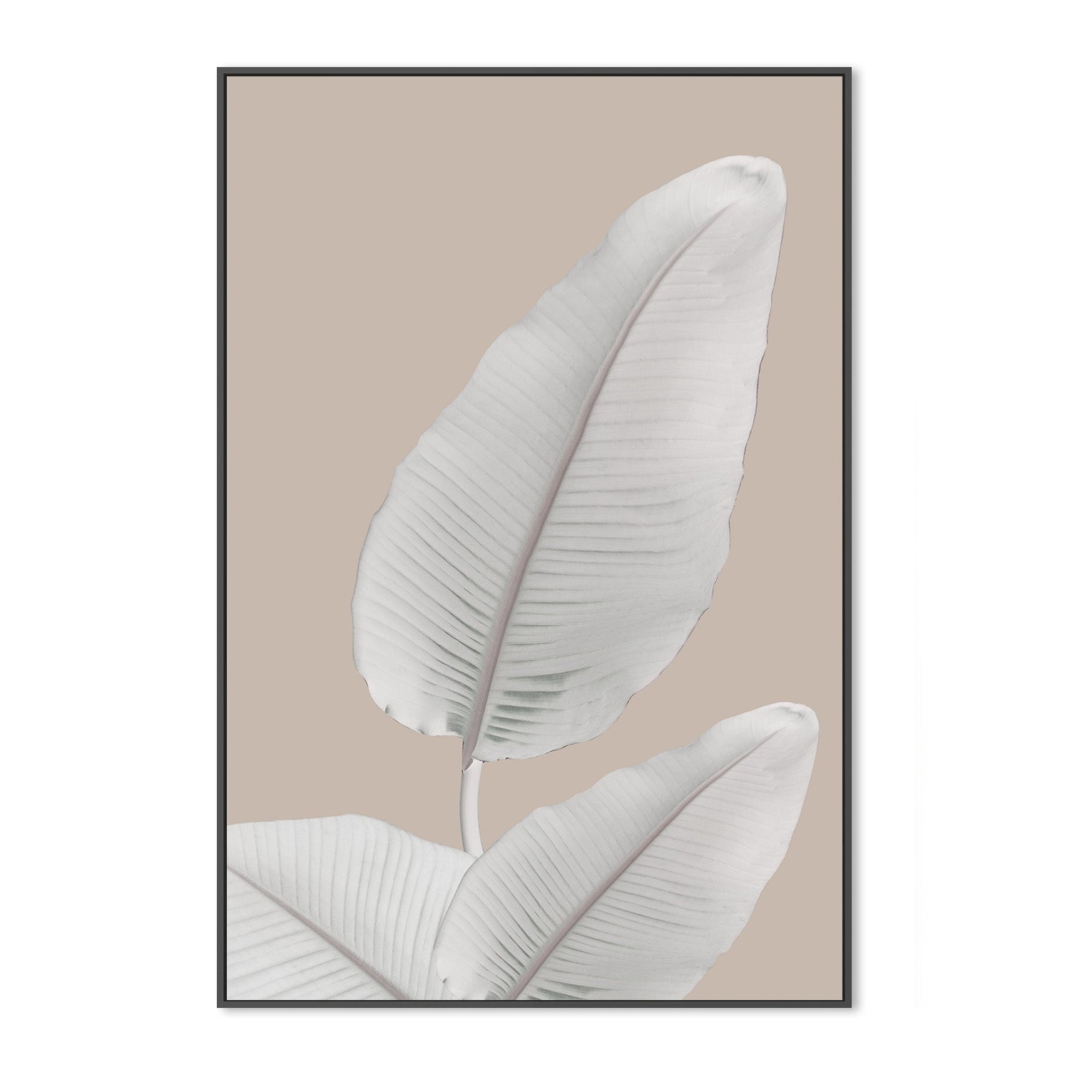 wall-art-print-canvas-poster-framed-Blush Paradise, Style B , By Danny Singh-3