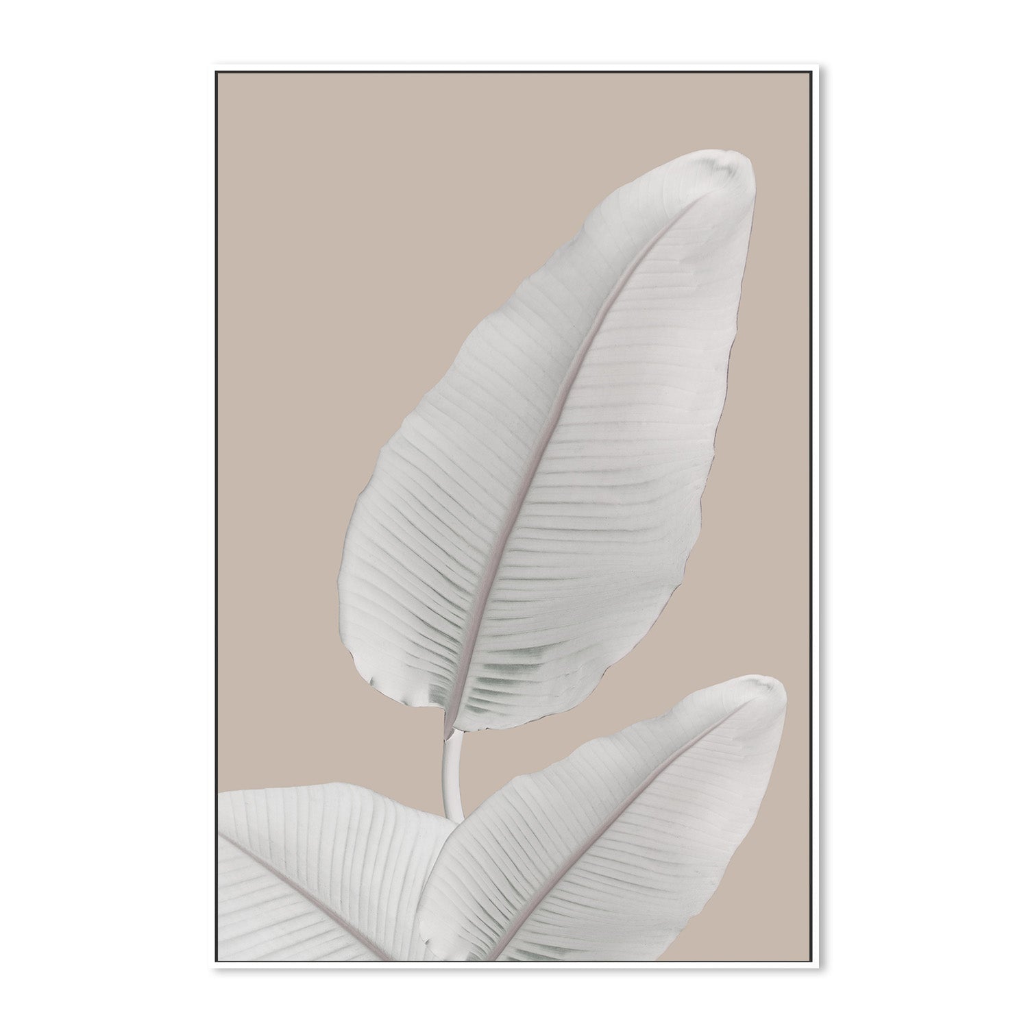 wall-art-print-canvas-poster-framed-Blush Paradise, Style B , By Danny Singh-5