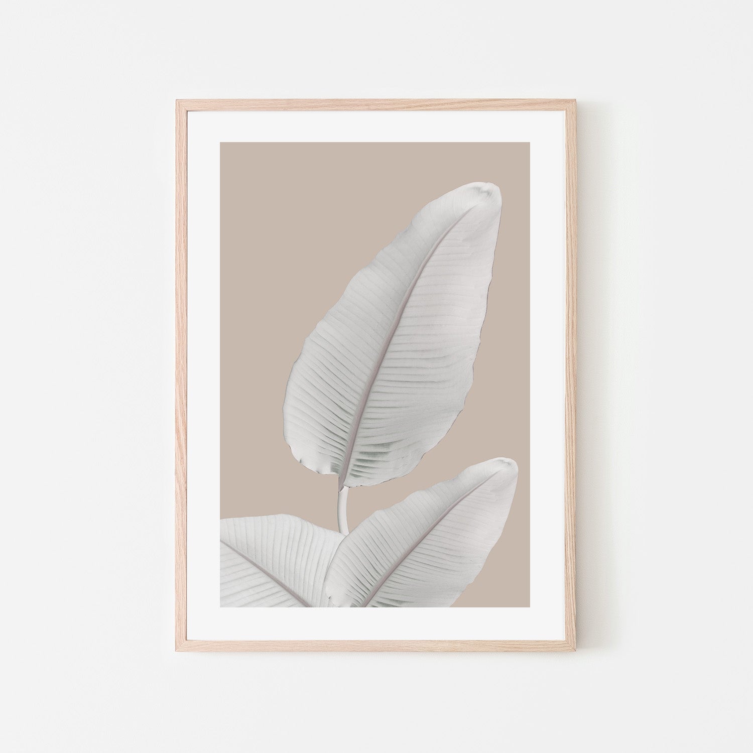wall-art-print-canvas-poster-framed-Blush Paradise, Style B , By Danny Singh-6