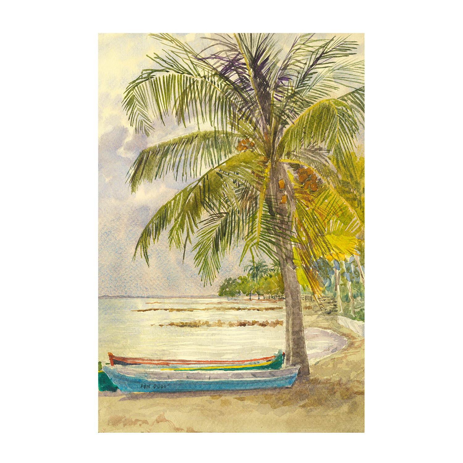 wall-art-print-canvas-poster-framed-Boats and Coconuts , By David Dallison-1